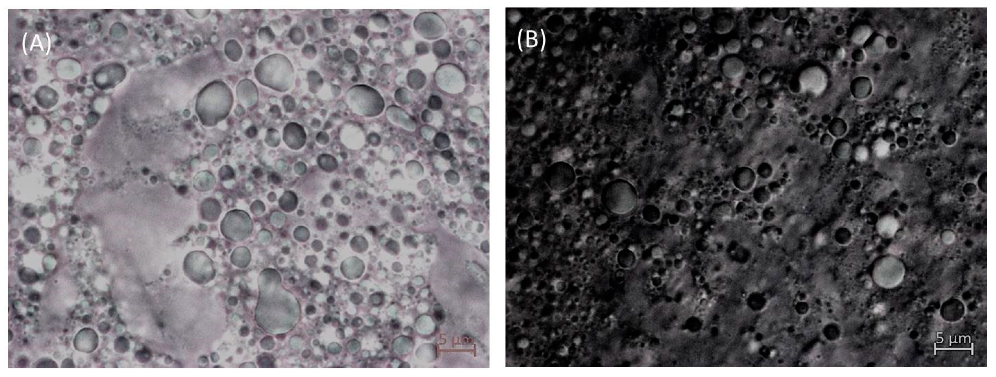 Foods 12 01137 g008 Foods 12 01137 g008