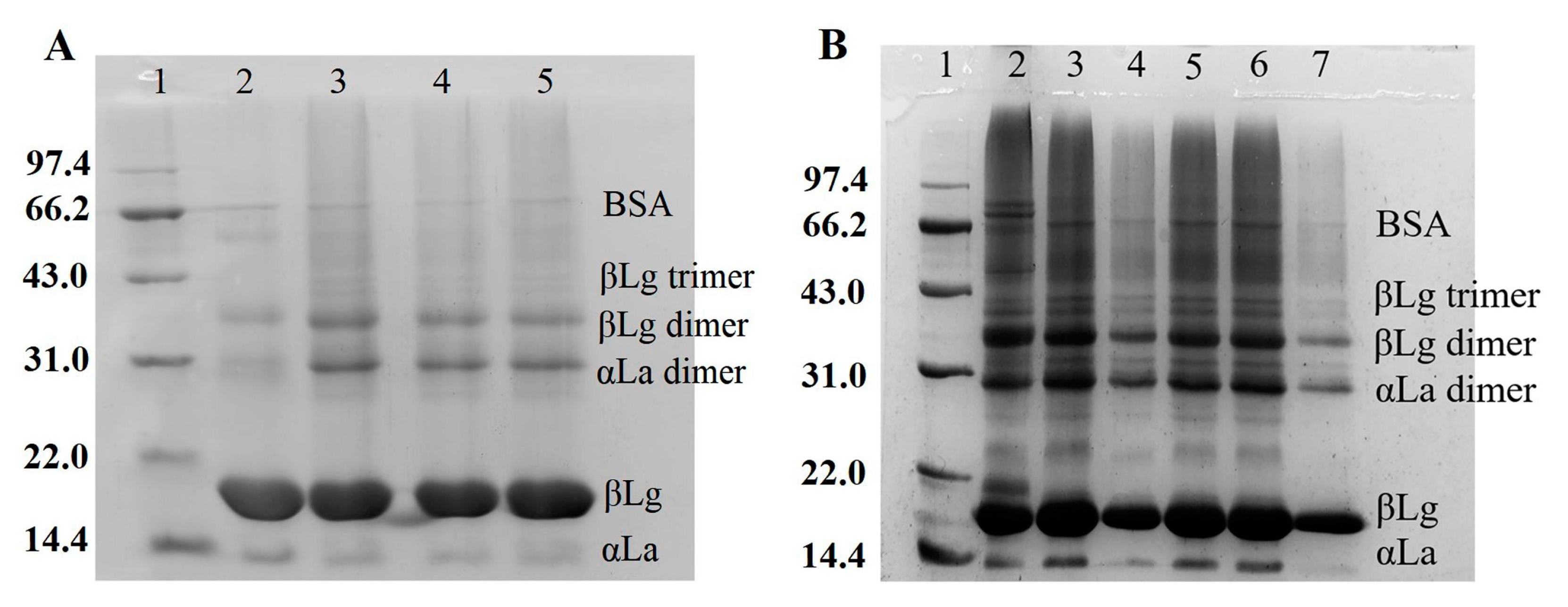Foods 12 01140 g002 Foods 12 01140 g002