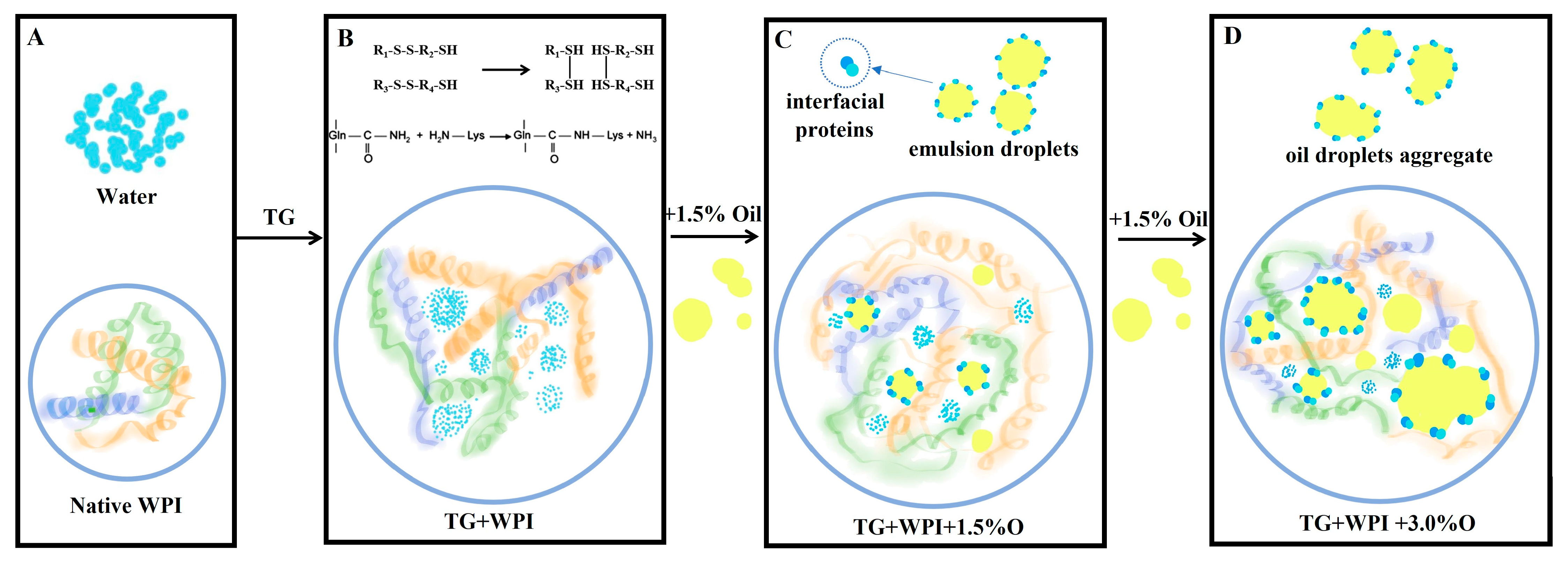 Foods 12 01140 g004 Foods 12 01140 g004