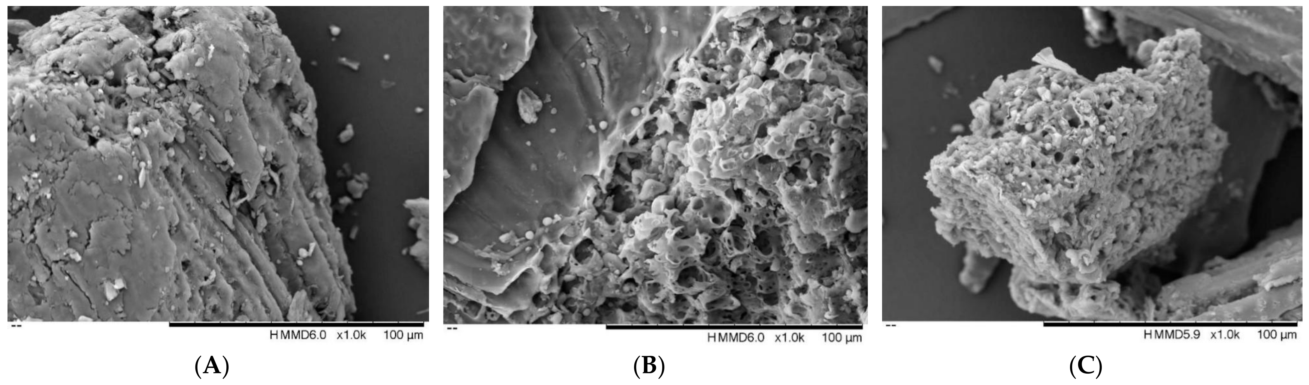 Foods 12 01144 g005 Foods 12 01144 g005