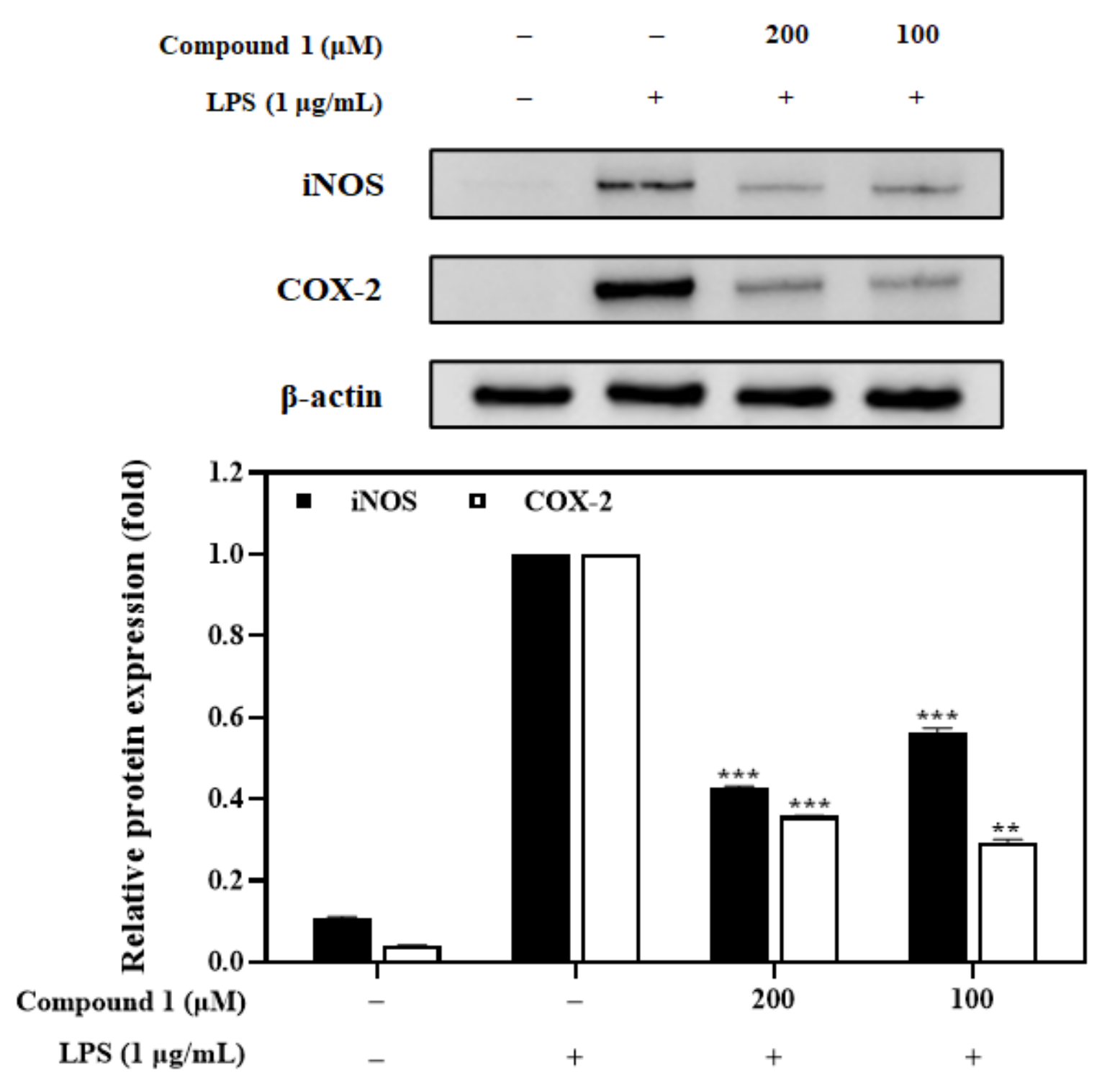 Foods 12 01146 g008 Foods 12 01146 g008