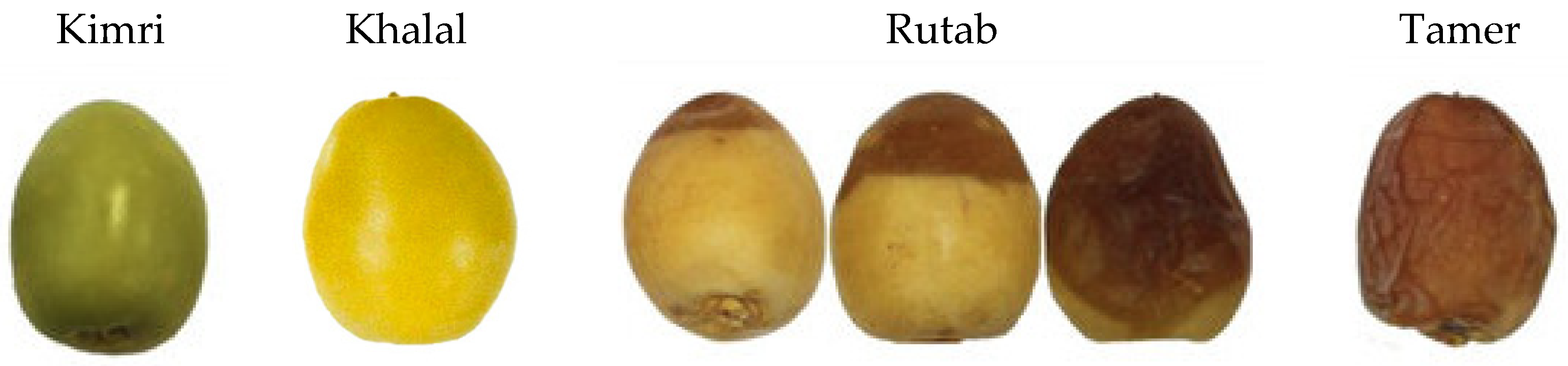 Foods 12 01160 g001 Foods 12 01160 g001