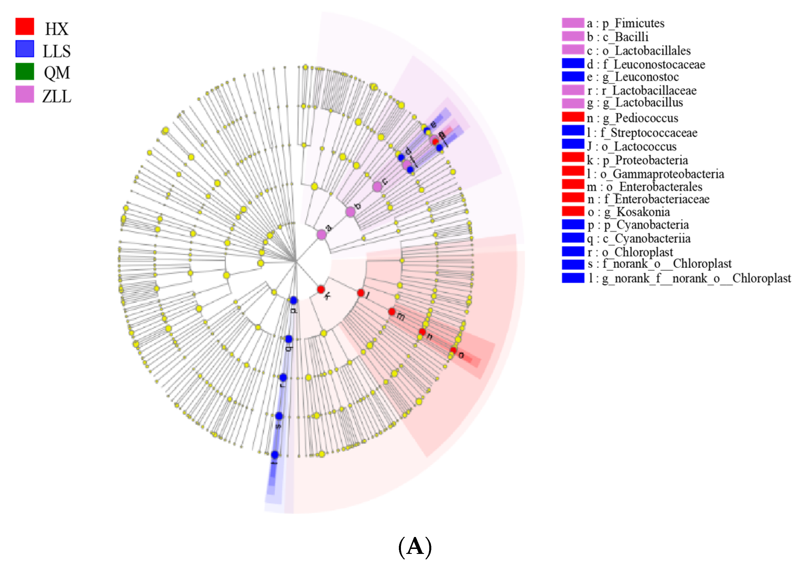 Foods 12 01164 g002a Foods 12 01164 g002a