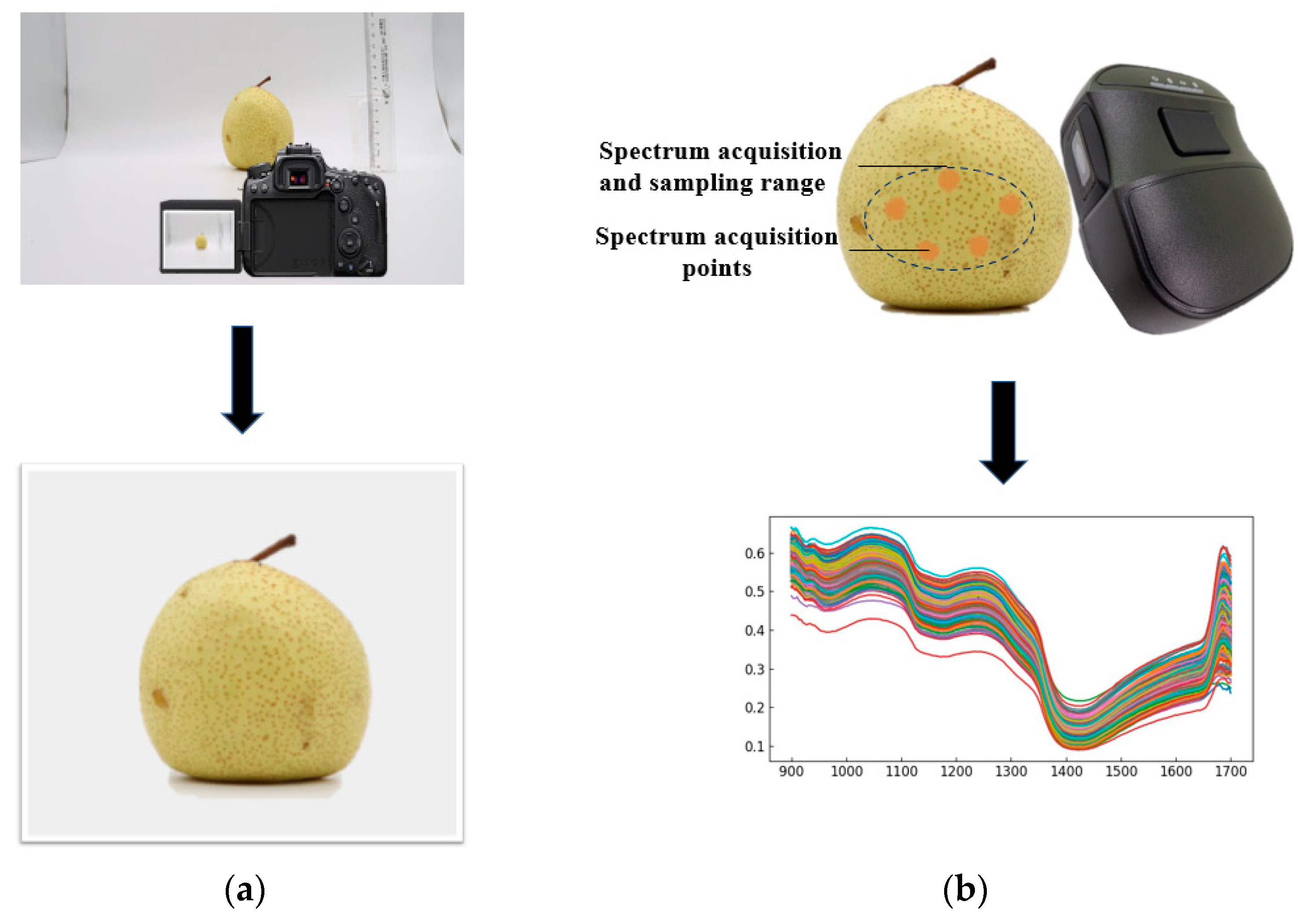 Foods 12 01178 g003 Foods 12 01178 g003