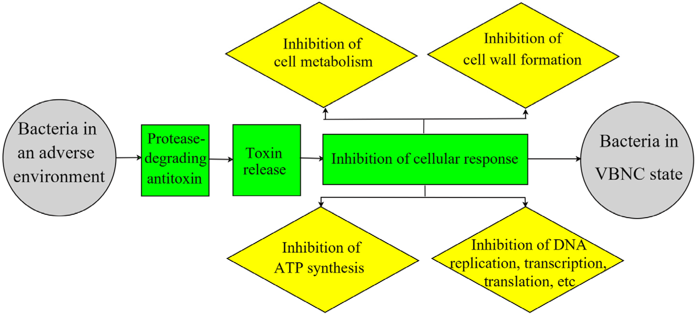 Foods 12 01179 g003 Foods 12 01179 g003
