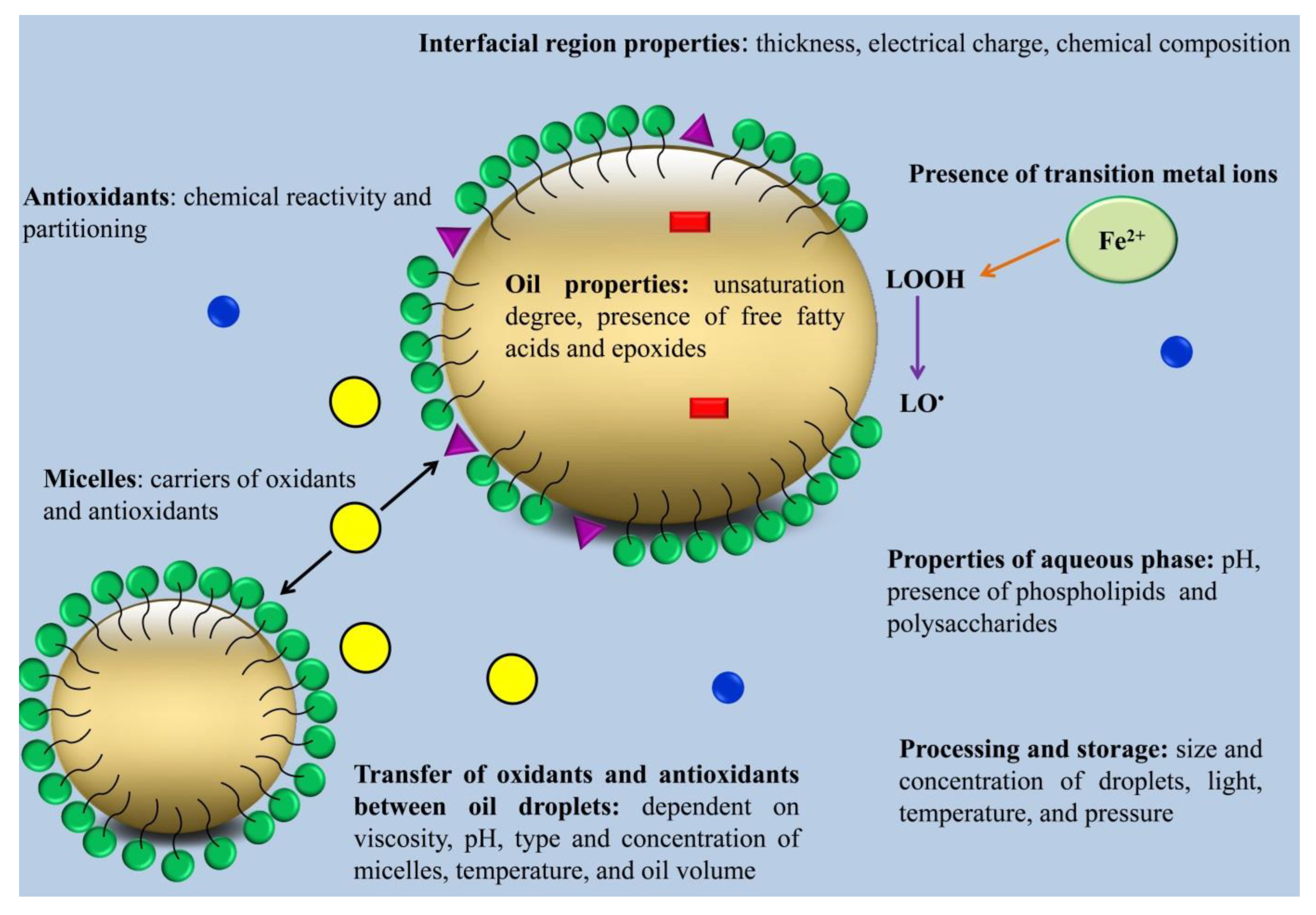 https://www.mdpi.com/foods/foods-12-01191/article_deploy/html/images/foods-12-01191-g001.png