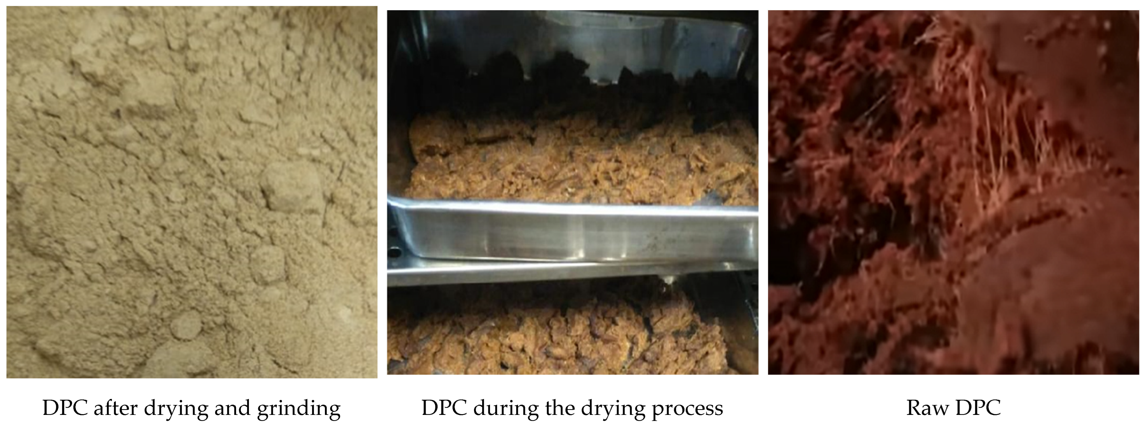 Foods 12 01219 g001 Foods 12 01219 g001