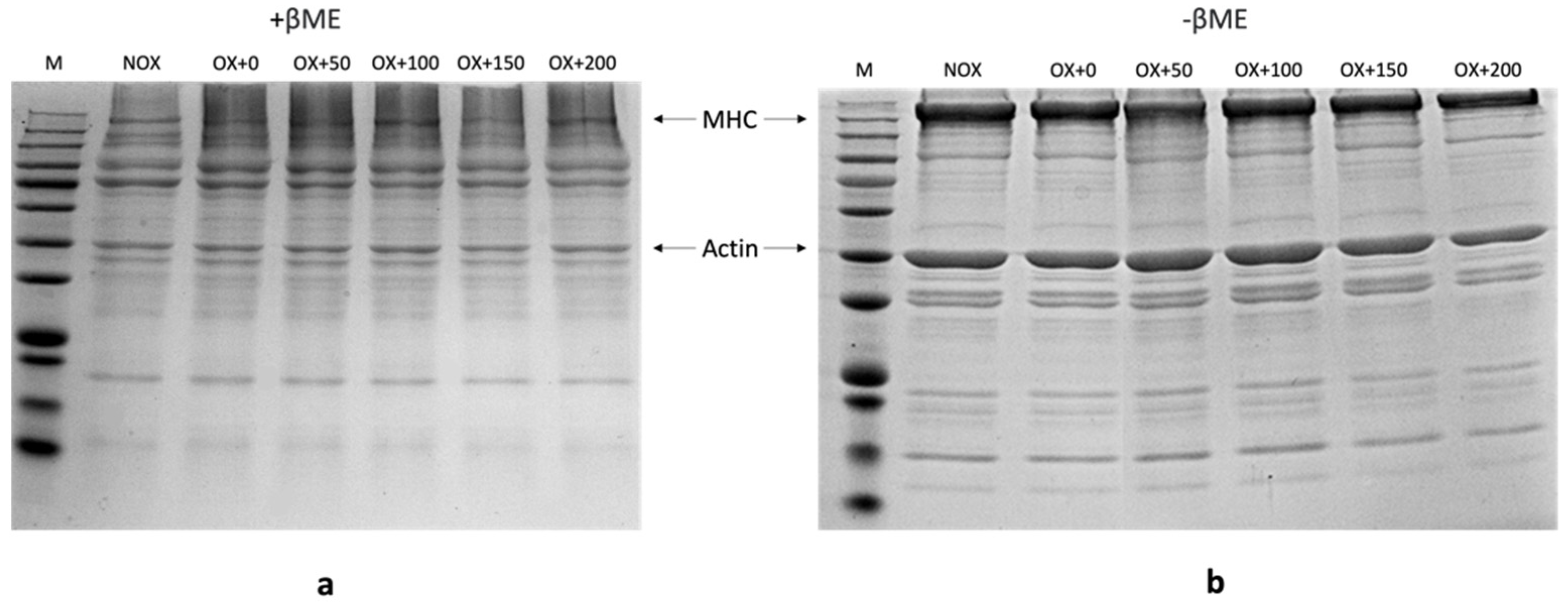 Foods 12 01222 g002 Foods 12 01222 g002