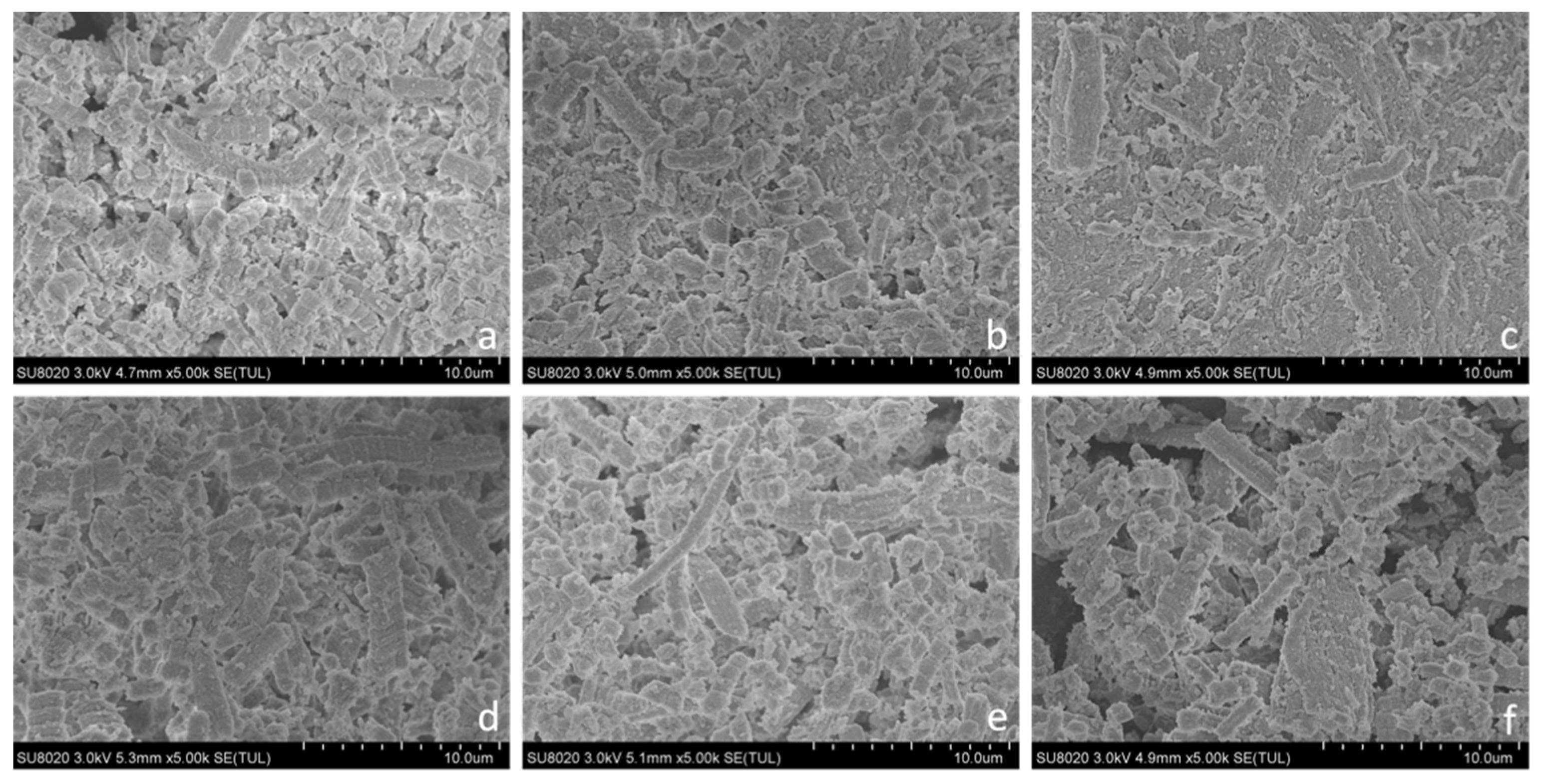 Foods 12 01222 g005 Foods 12 01222 g005