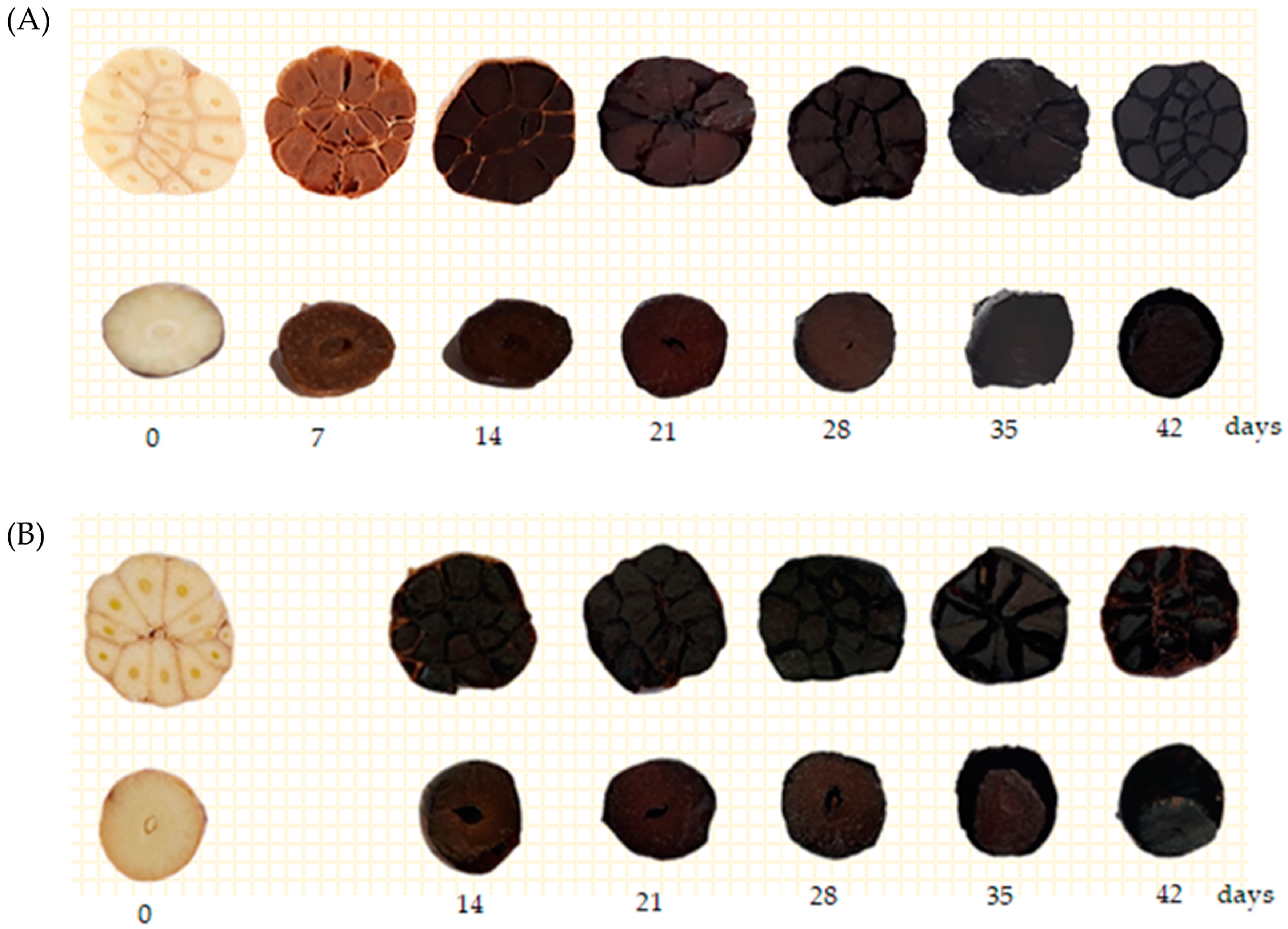 Foods 12 01227 g001 Foods 12 01227 g001