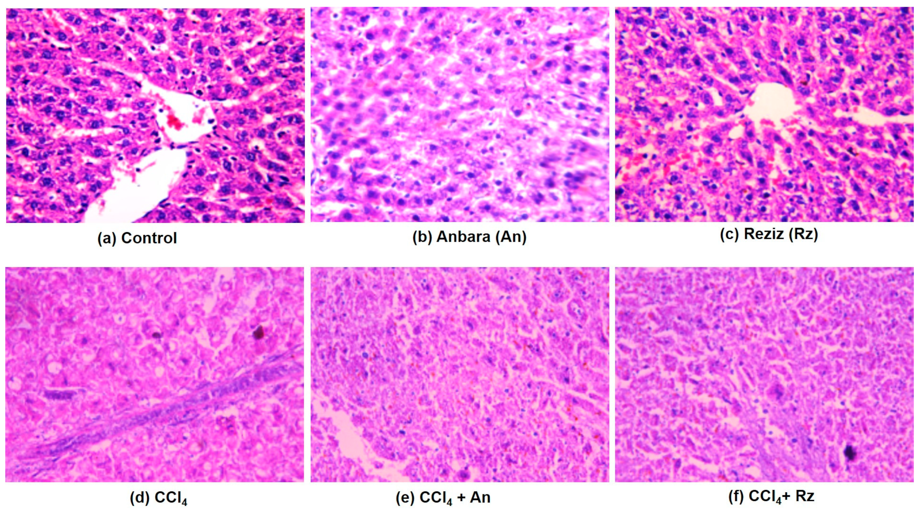 Foods 12 01229 g005 Foods 12 01229 g005