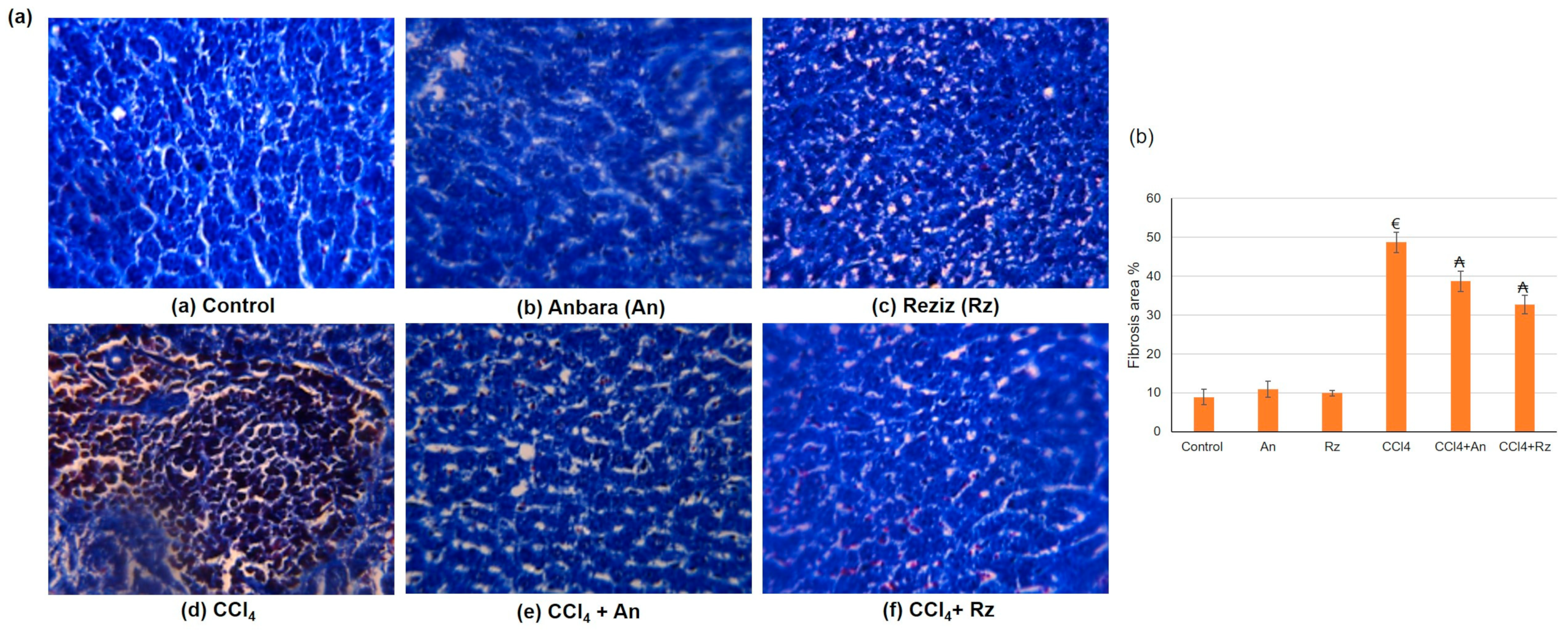 Foods 12 01229 g006 Foods 12 01229 g006