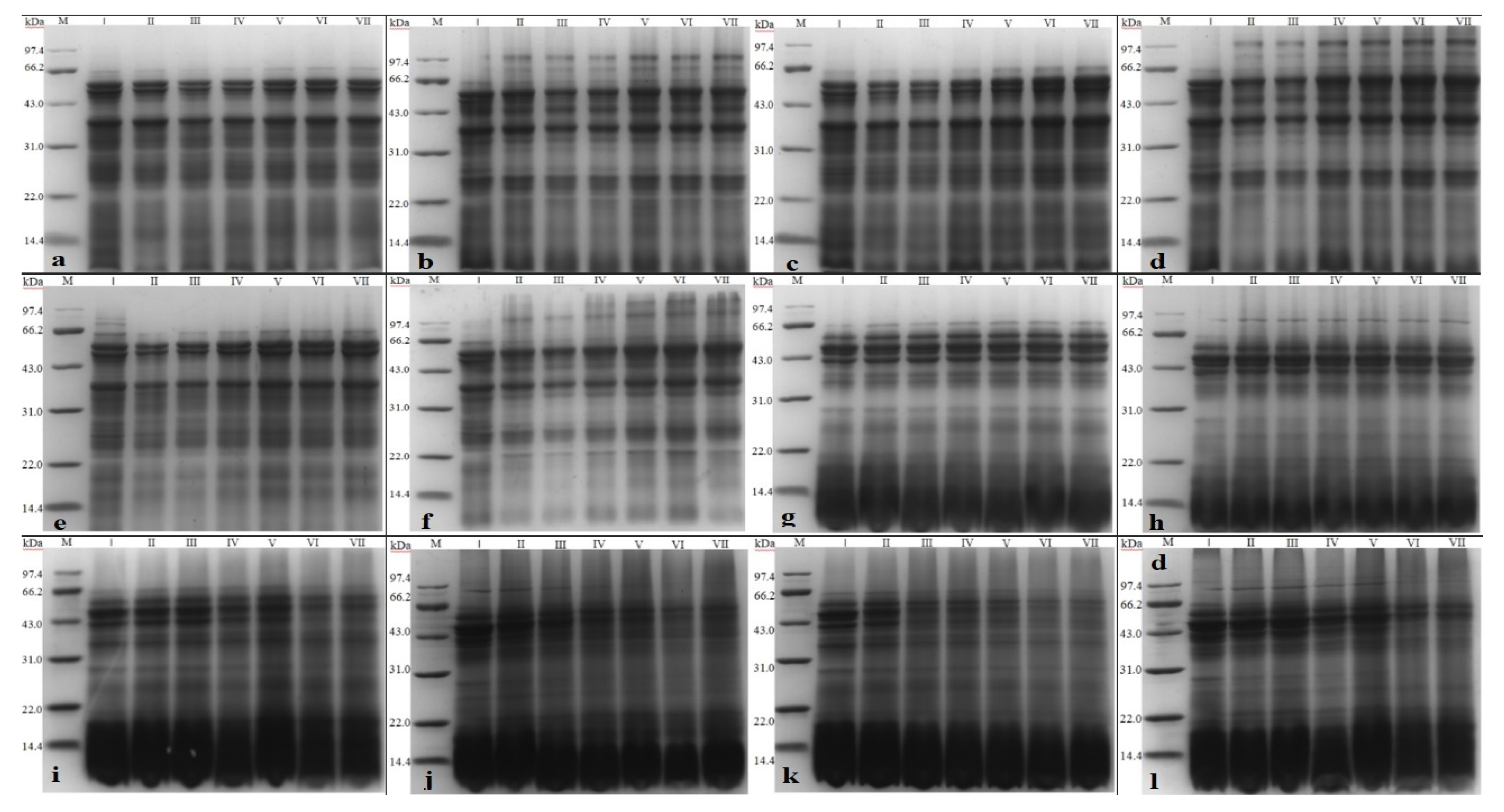 Foods 12 01236 g007 Foods 12 01236 g007