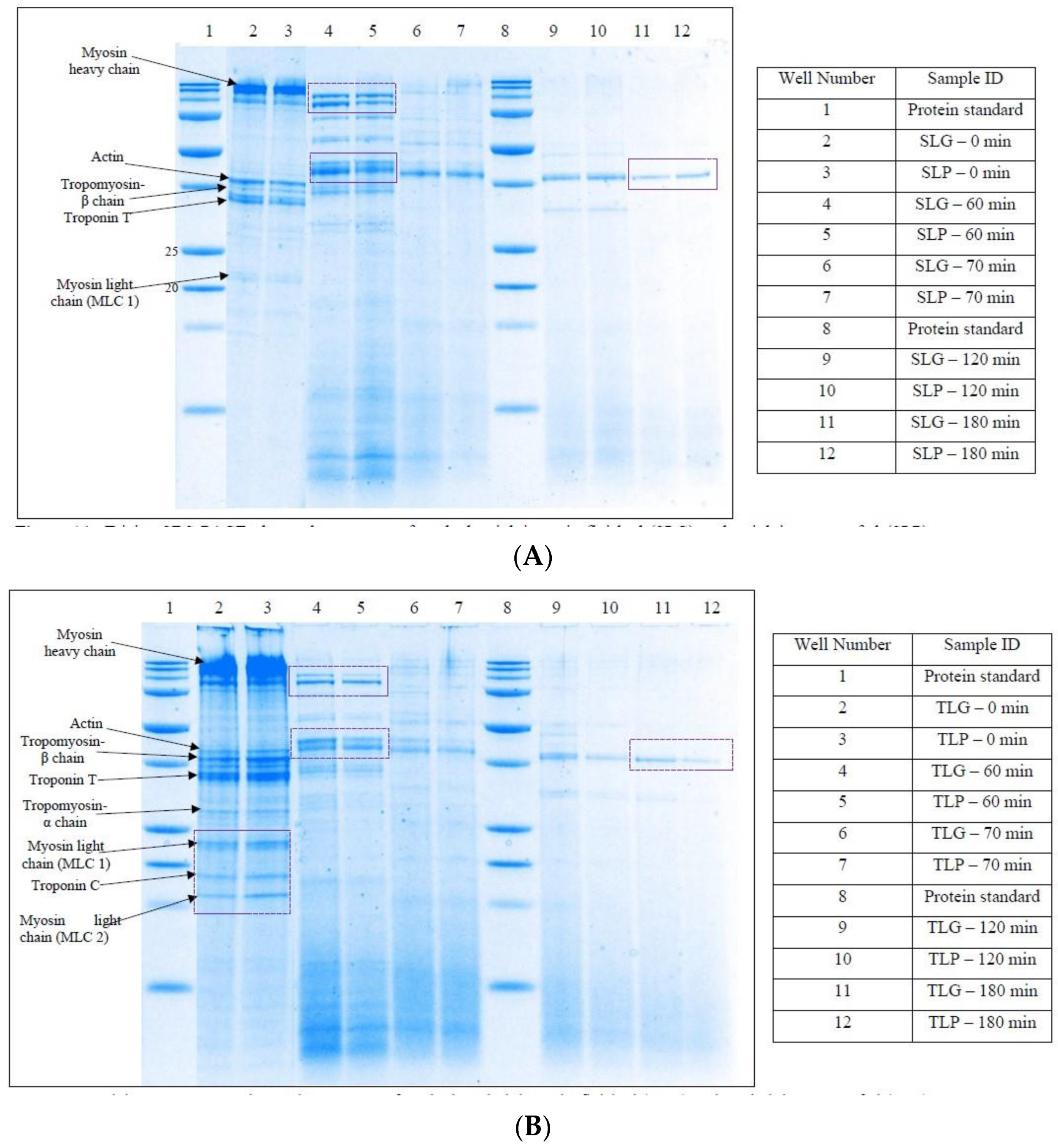Foods 12 01239 g001 Foods 12 01239 g001