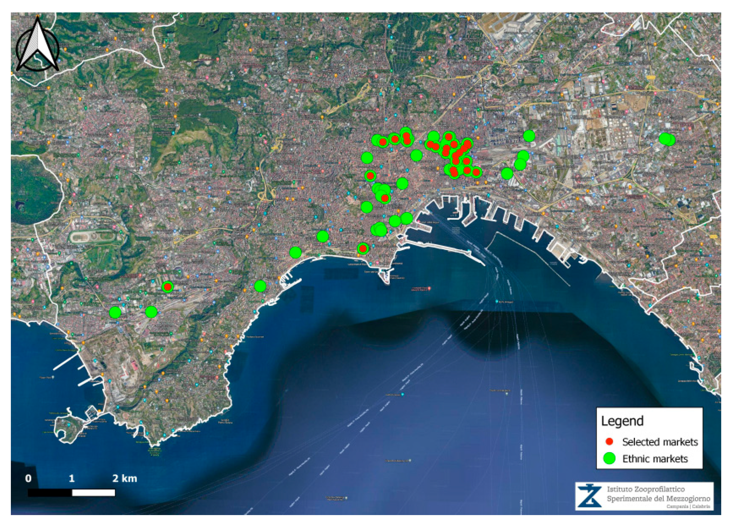 Foods 12 01244 g001 Foods 12 01244 g001