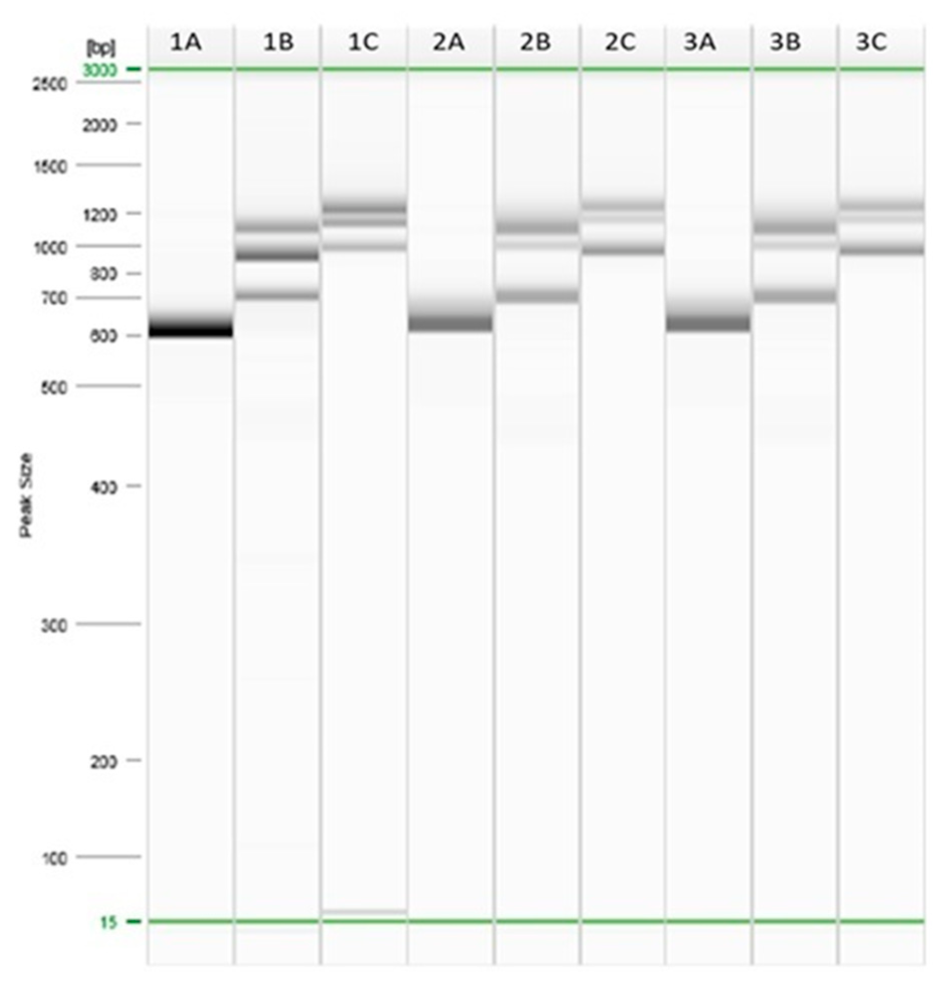 Foods 12 01244 g002 Foods 12 01244 g002