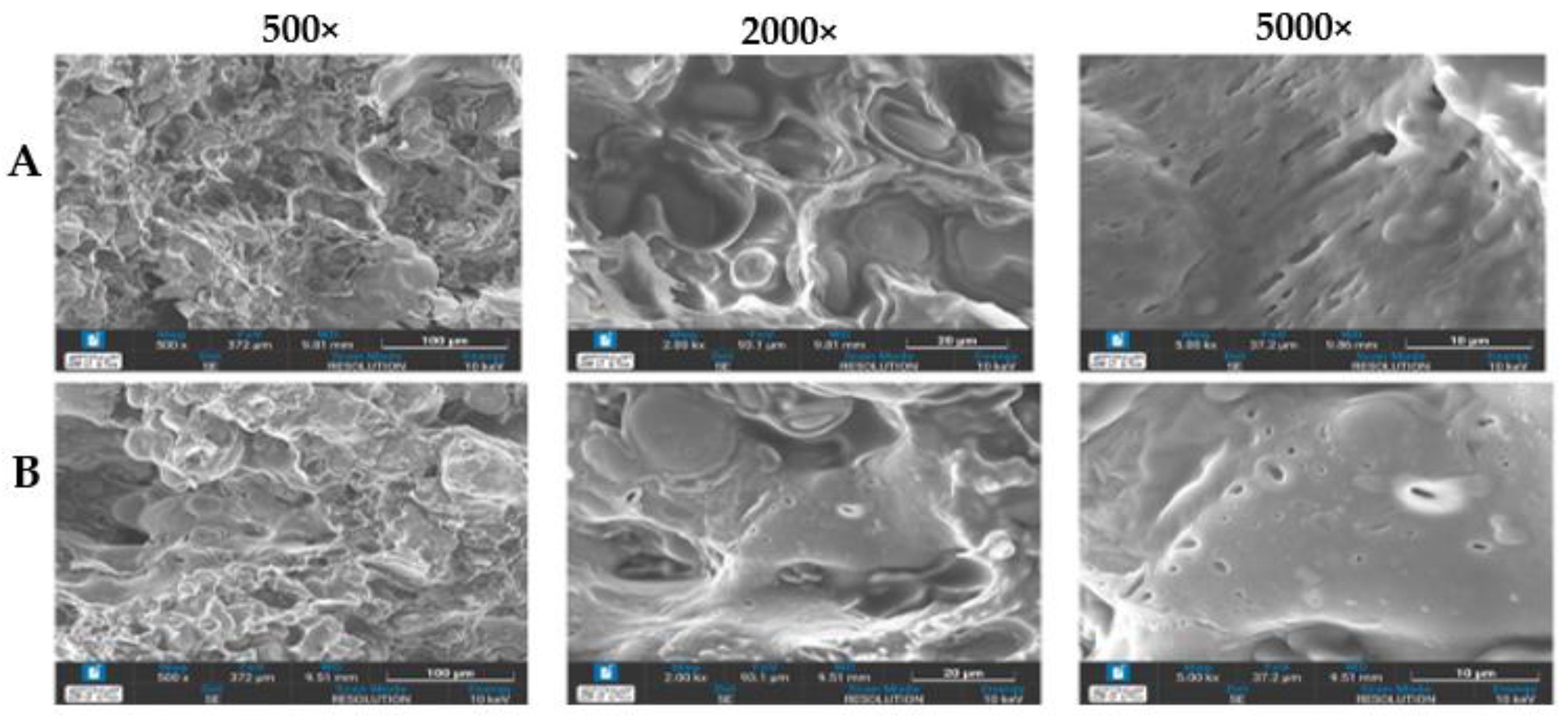 Foods 12 01269 g004 Foods 12 01269 g004