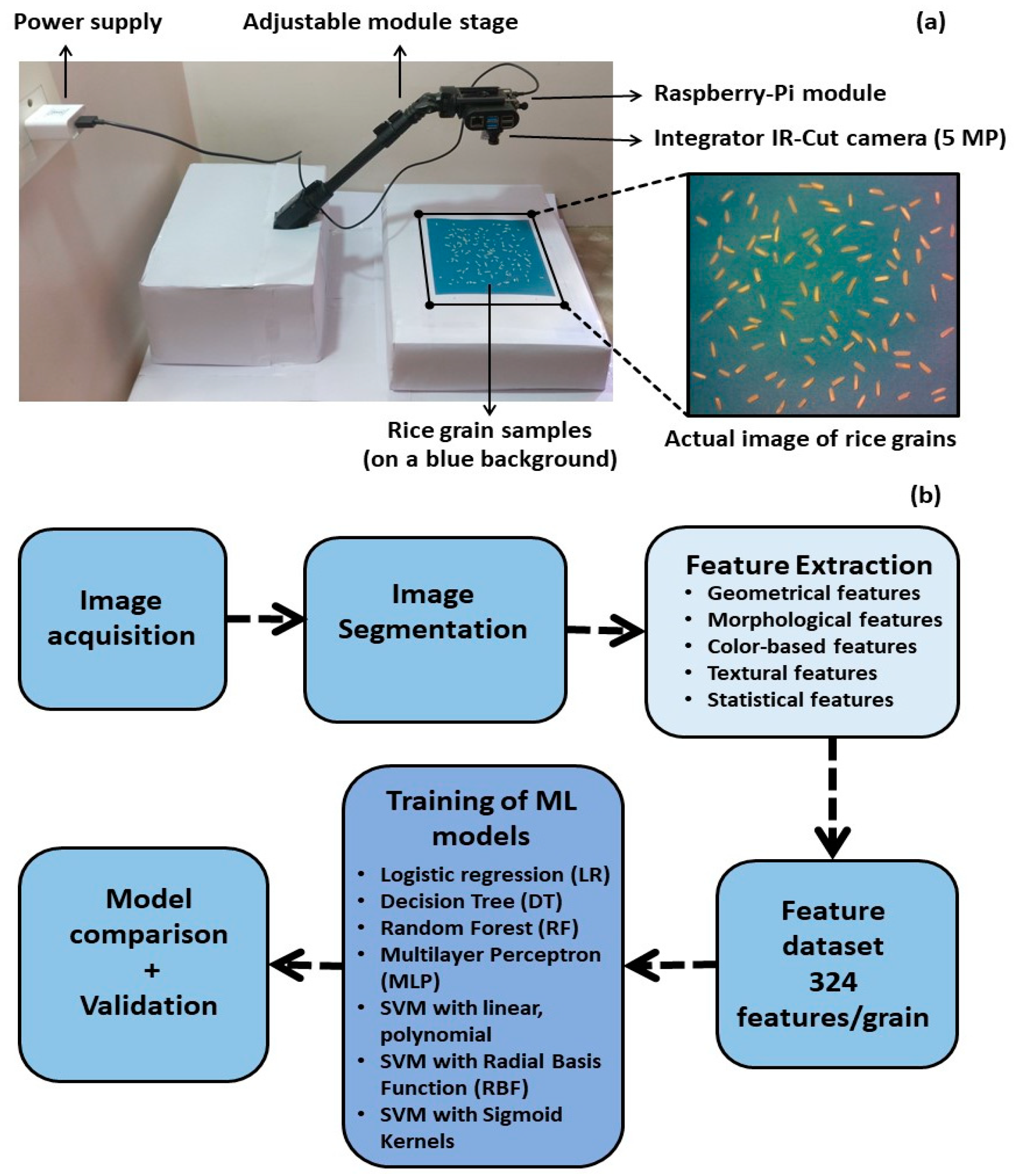 An Automated Image Processing Module for Quality Evaluation of Milled Rice