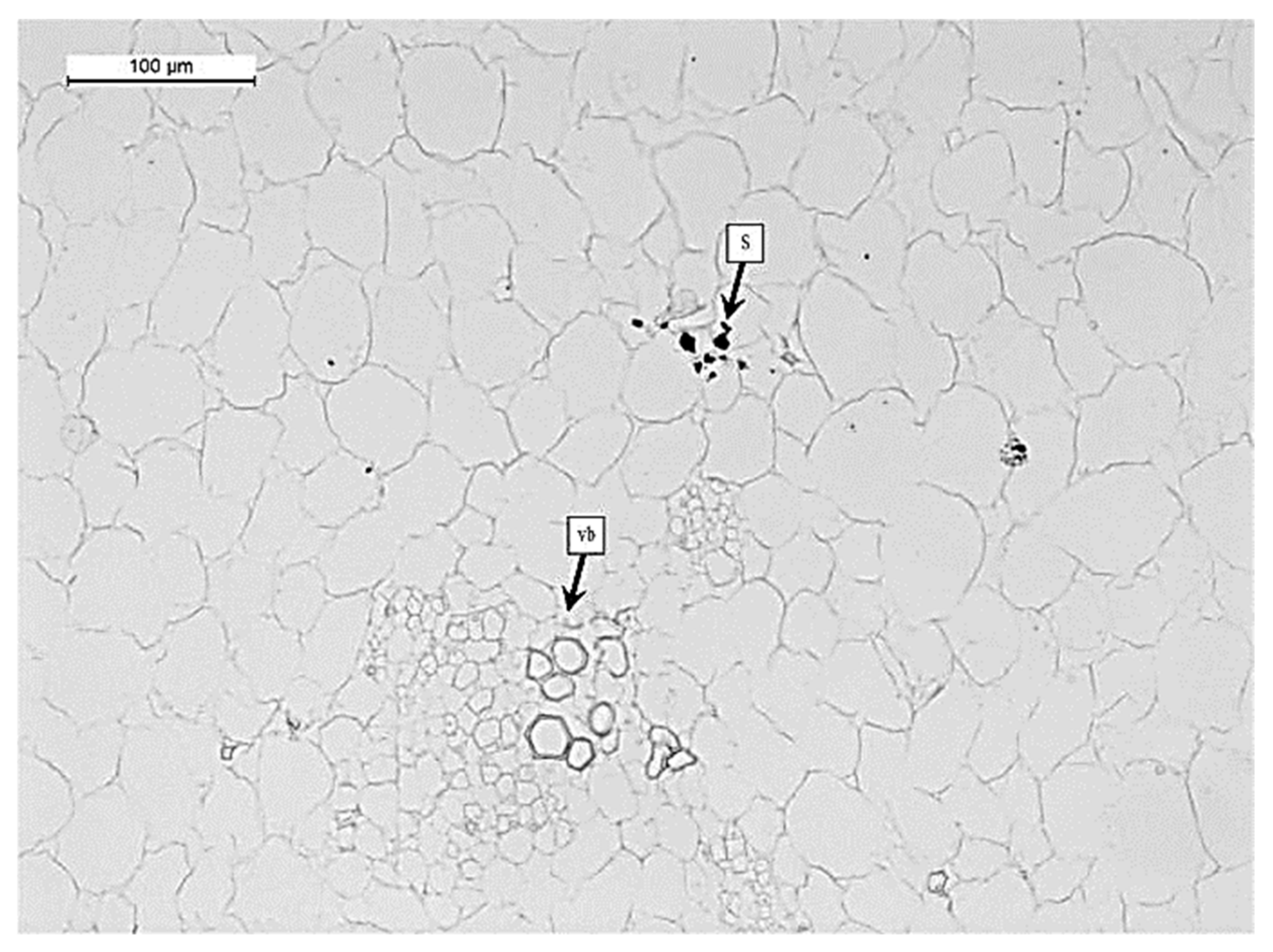 Foods 12 01280 g002 Foods 12 01280 g002