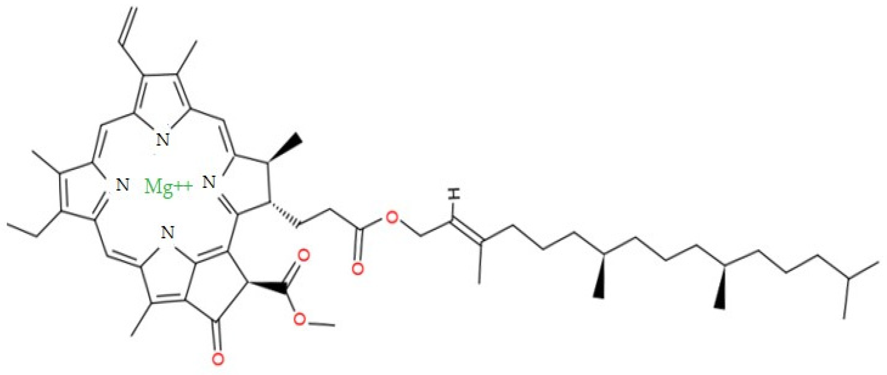 Foods 12 01281 g002 Foods 12 01281 g002