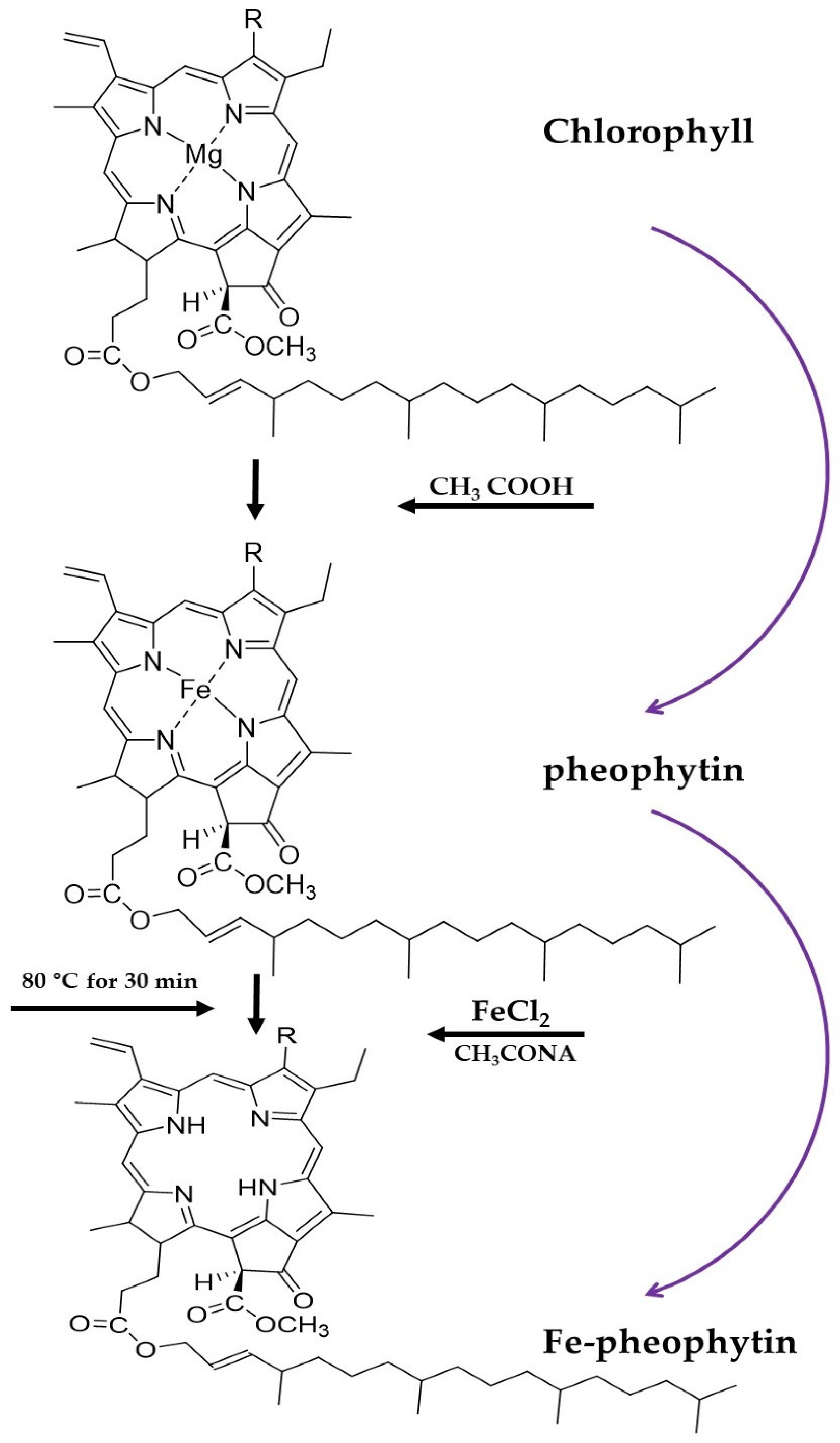 Foods 12 01281 g003 Foods 12 01281 g003