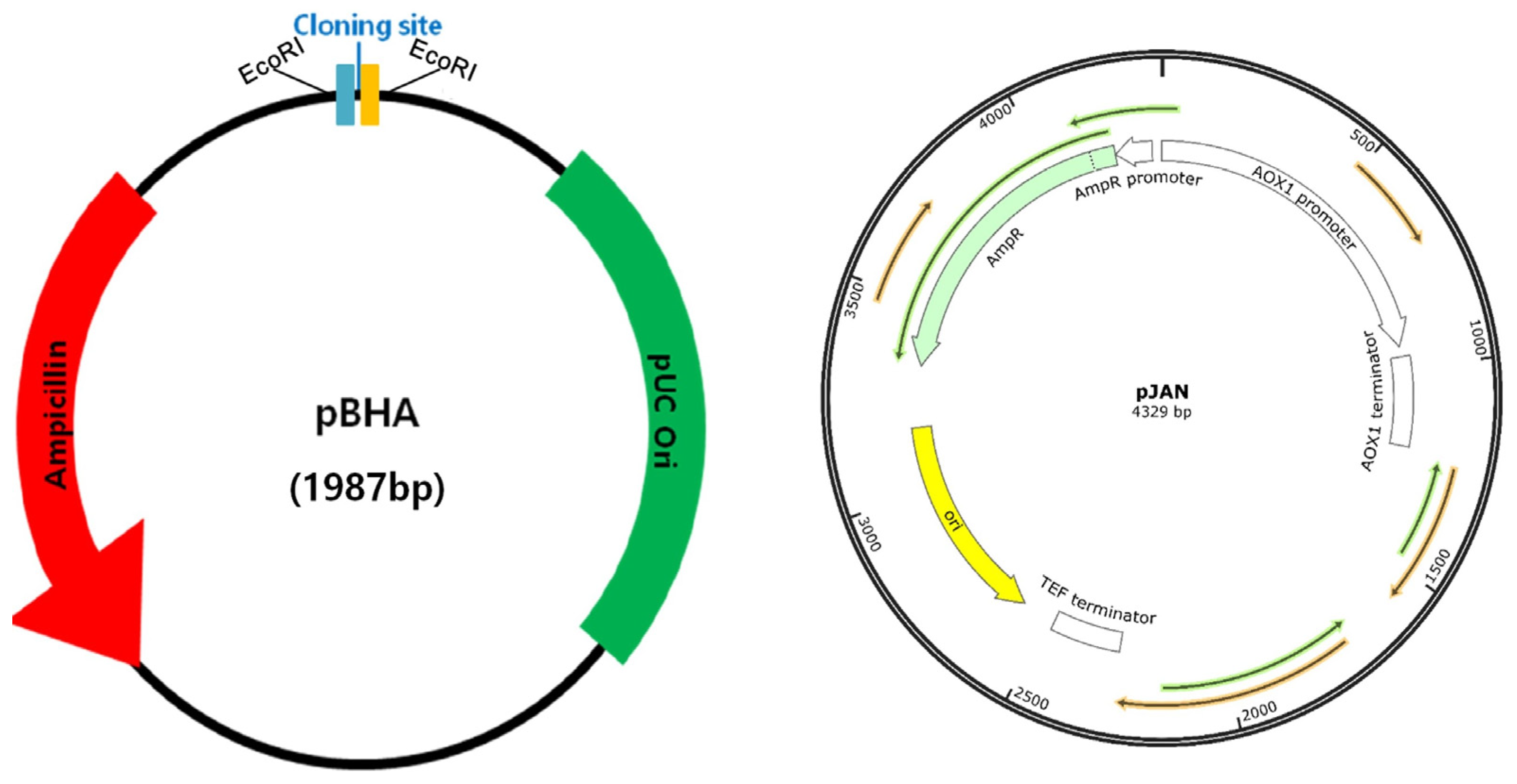 Foods 12 01281 g004 Foods 12 01281 g004