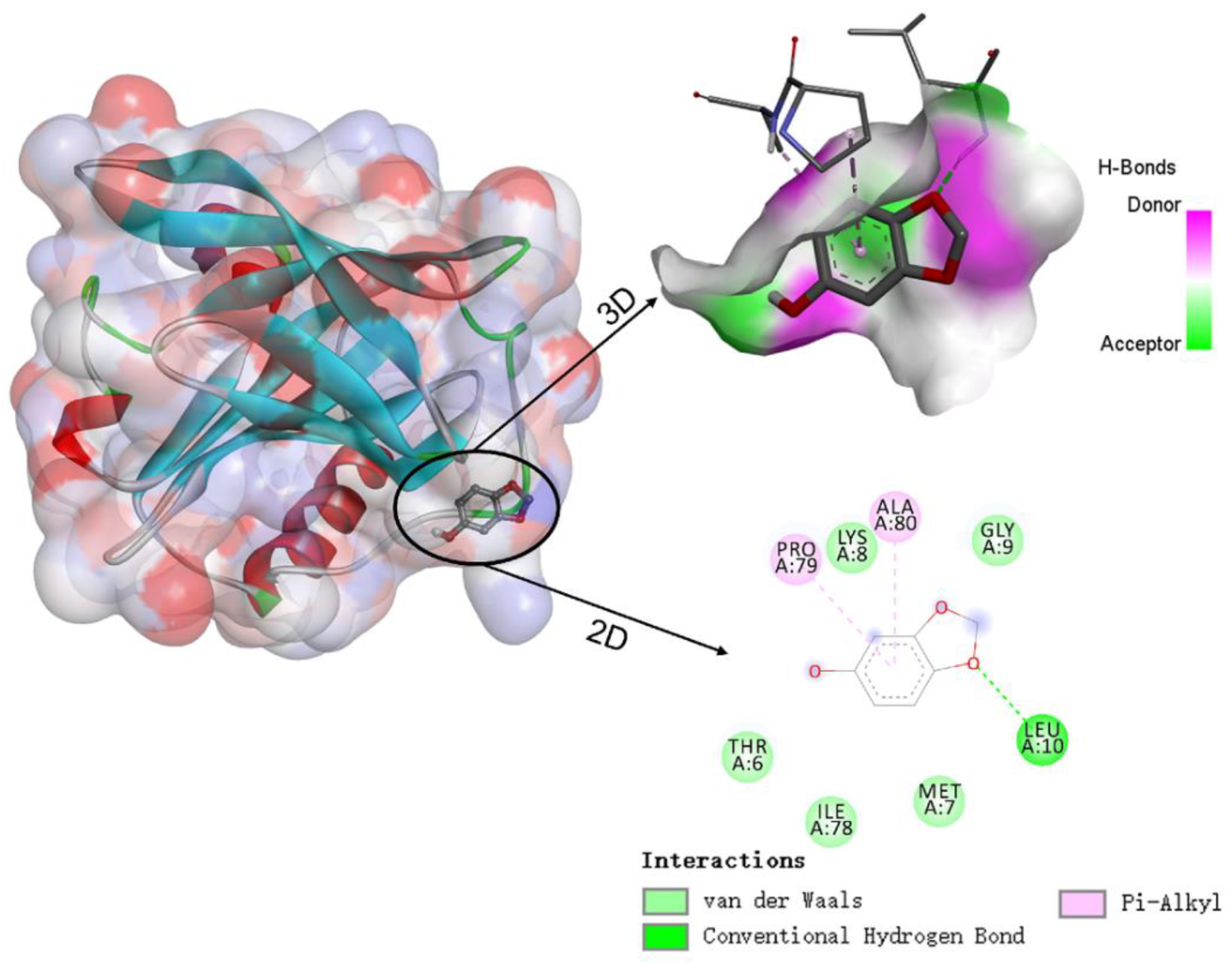 Foods 12 01287 g006 Foods 12 01287 g006