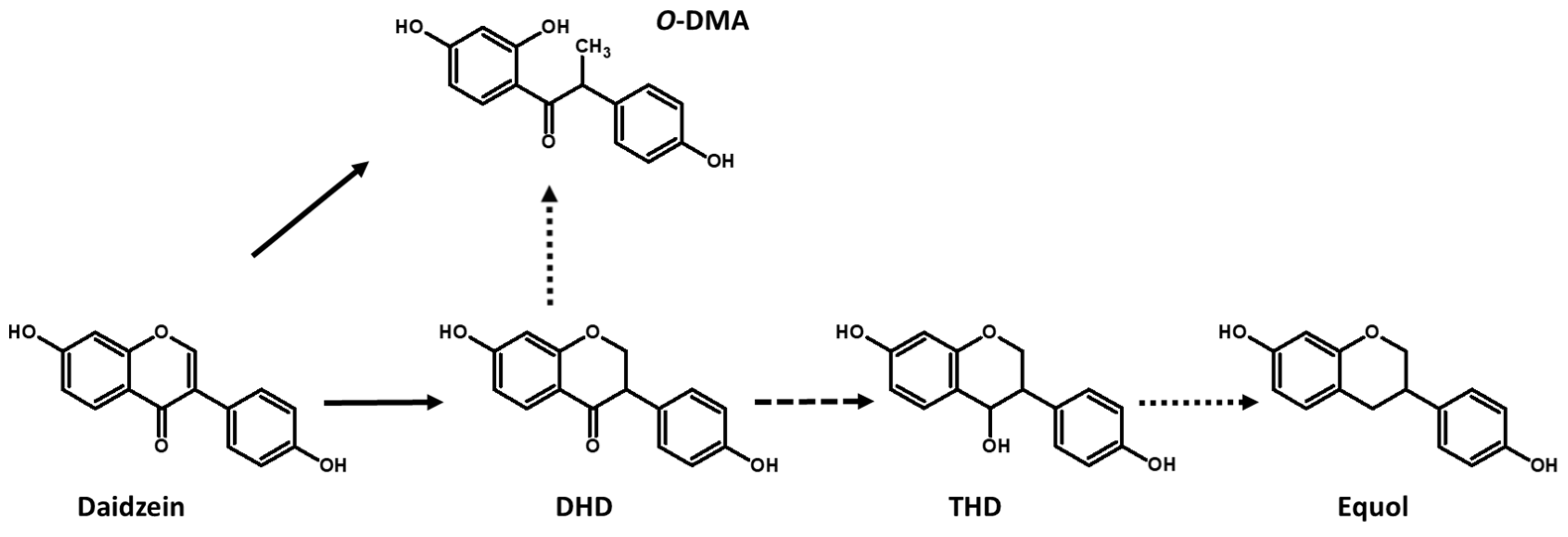 Foods Free Full Text Isoflavone Metabolism By Lactic Acid Bacteria foods-free-full-text-isoflavone-metabolism-by-lactic-acid-bacteria