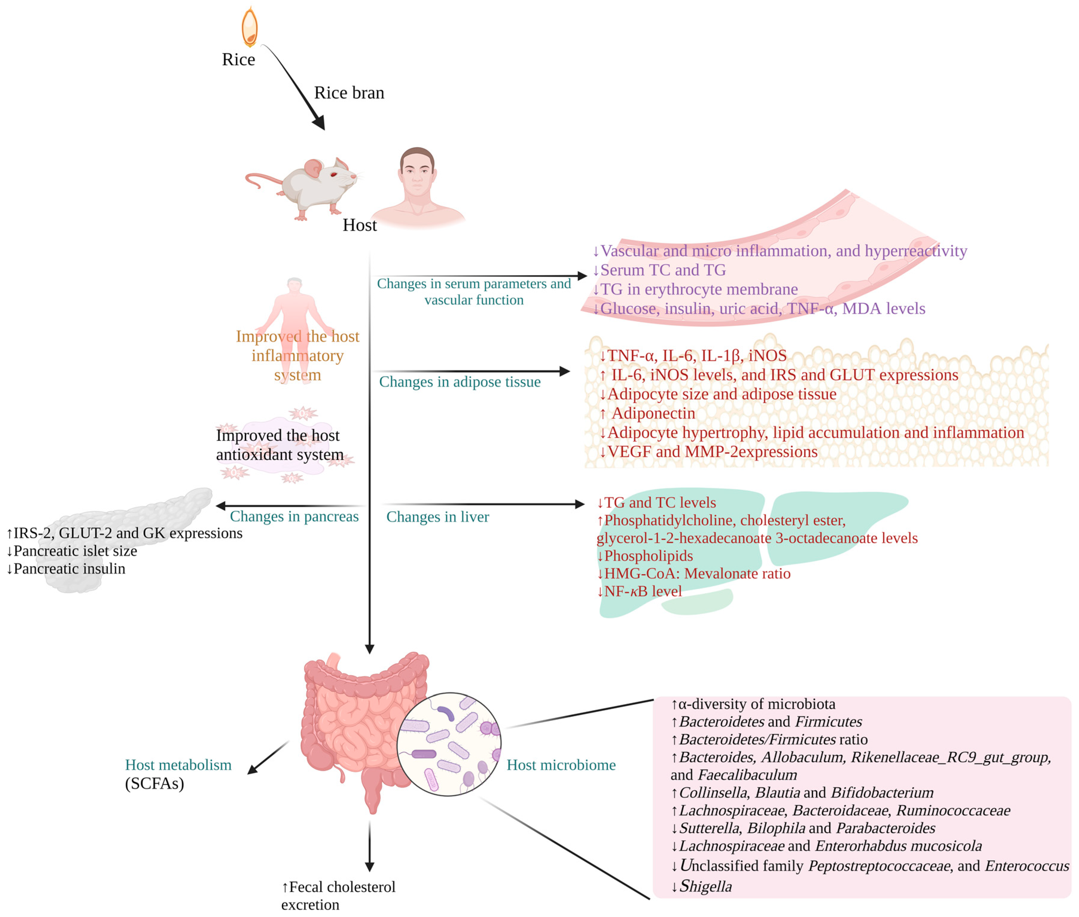 Foods 12 01300 g002 Foods 12 01300 g002