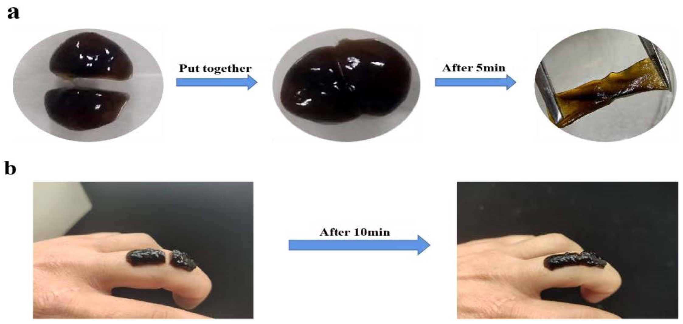 Foods 12 01304 g004 Foods 12 01304 g004