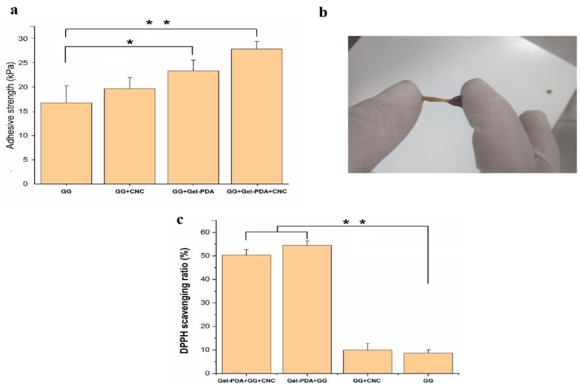 Foods 12 01304 g005 Foods 12 01304 g005