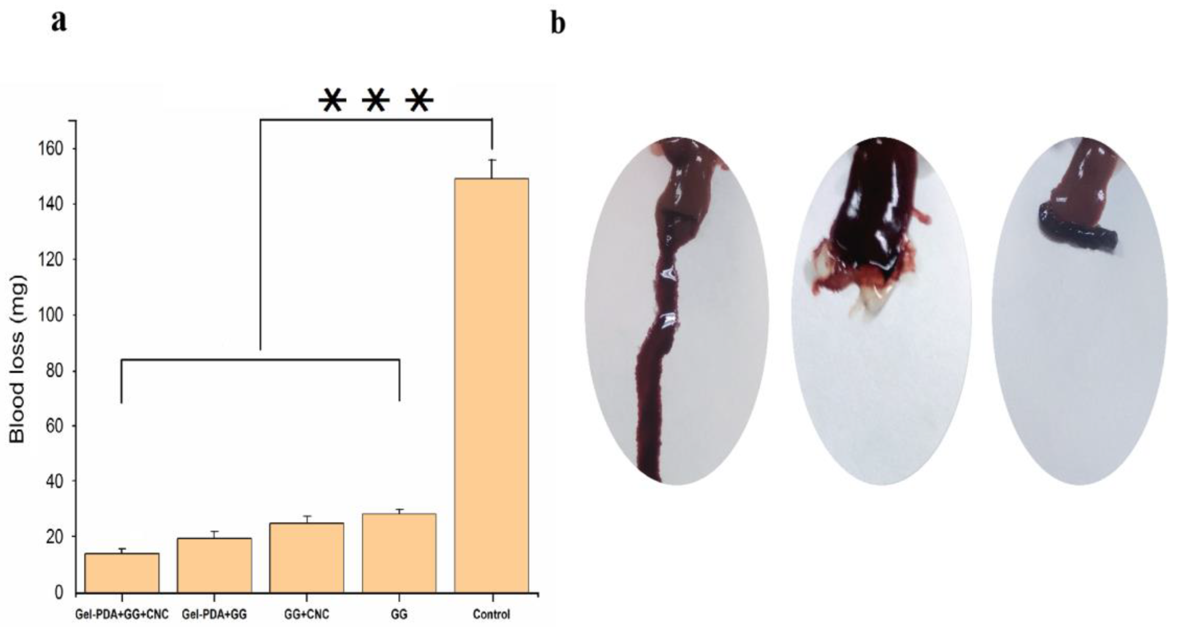 Foods | Free Full-Text | Functional Enhancement of Guar Gum&minus 
