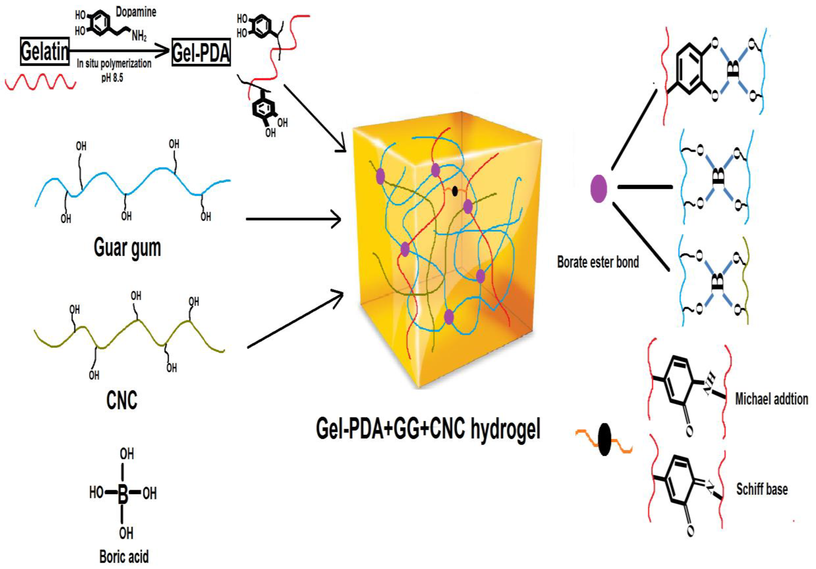 Foods 12 01304 sch001 Foods 12 01304 sch001