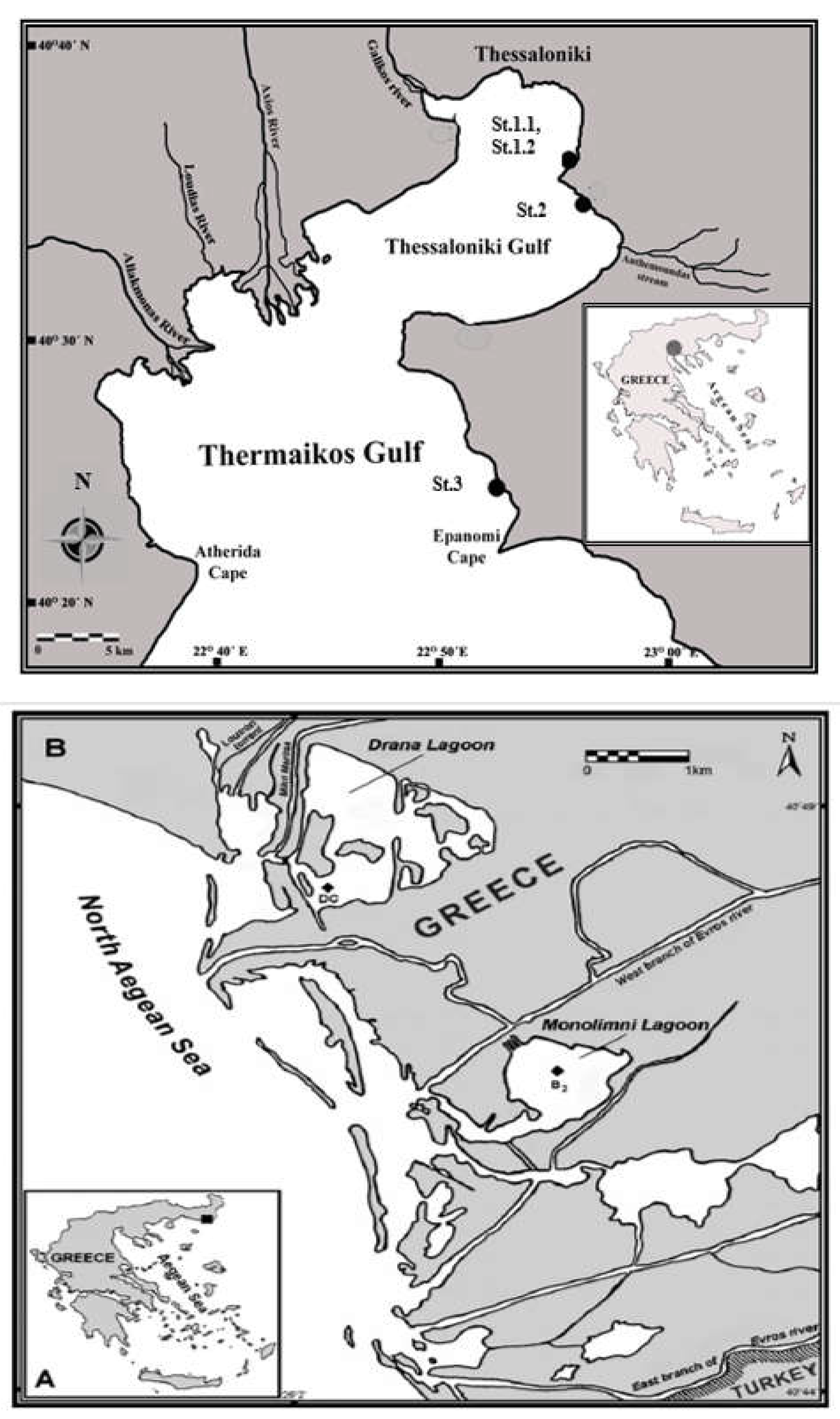 Foods 12 01310 g001 Foods 12 01310 g001