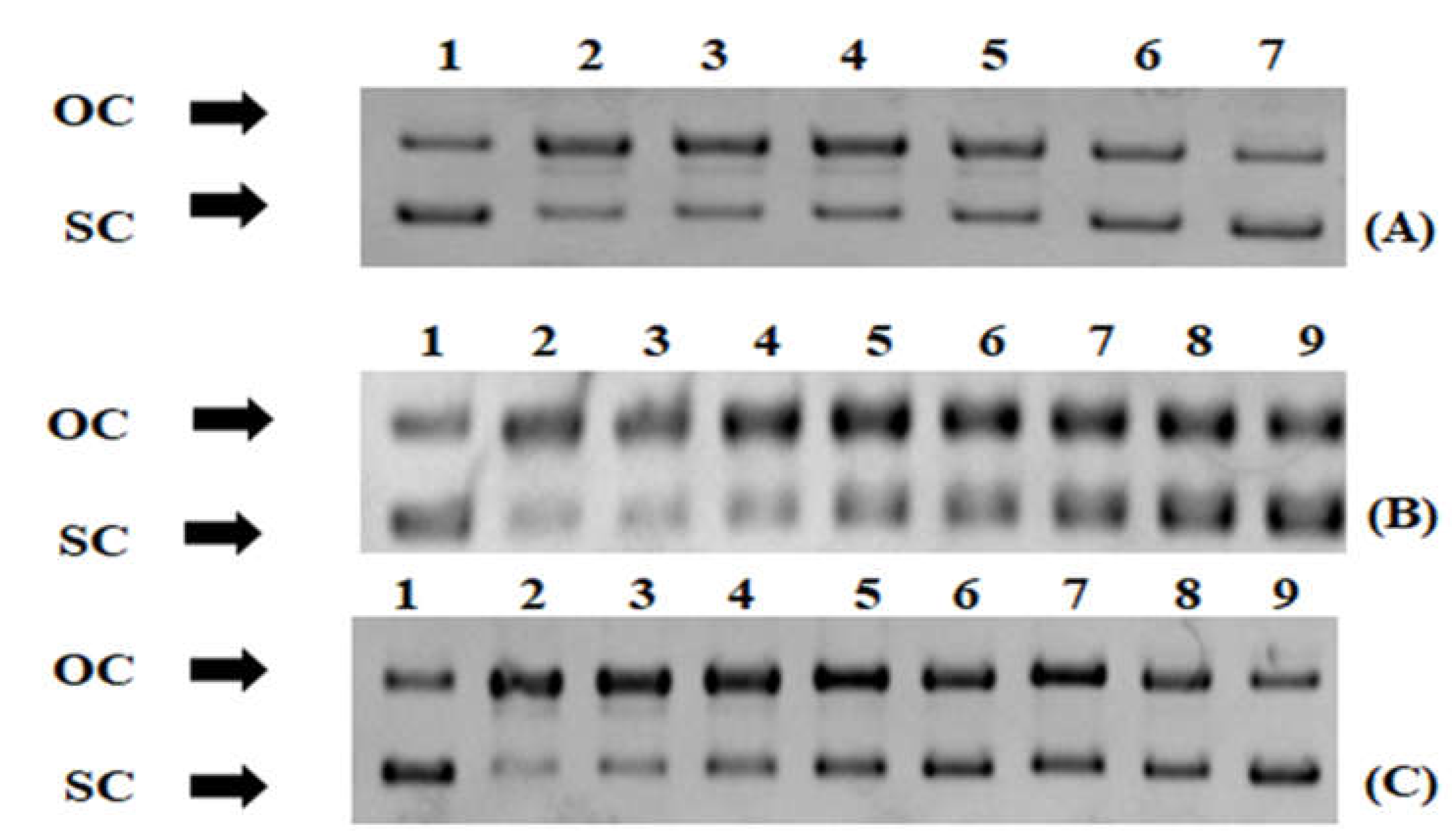 Foods 12 01310 g003 Foods 12 01310 g003