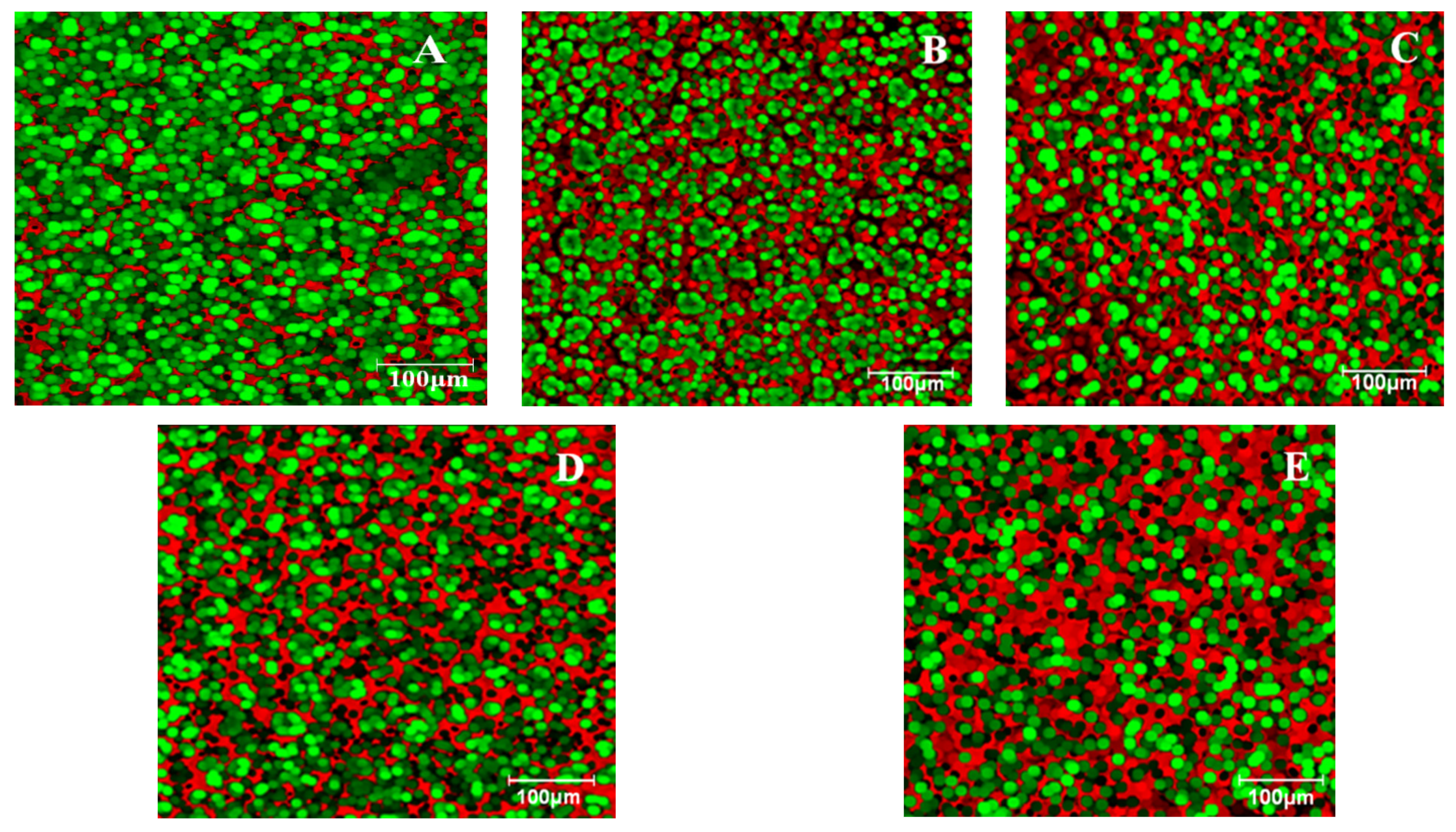 Foods 12 01316 g002 Foods 12 01316 g002