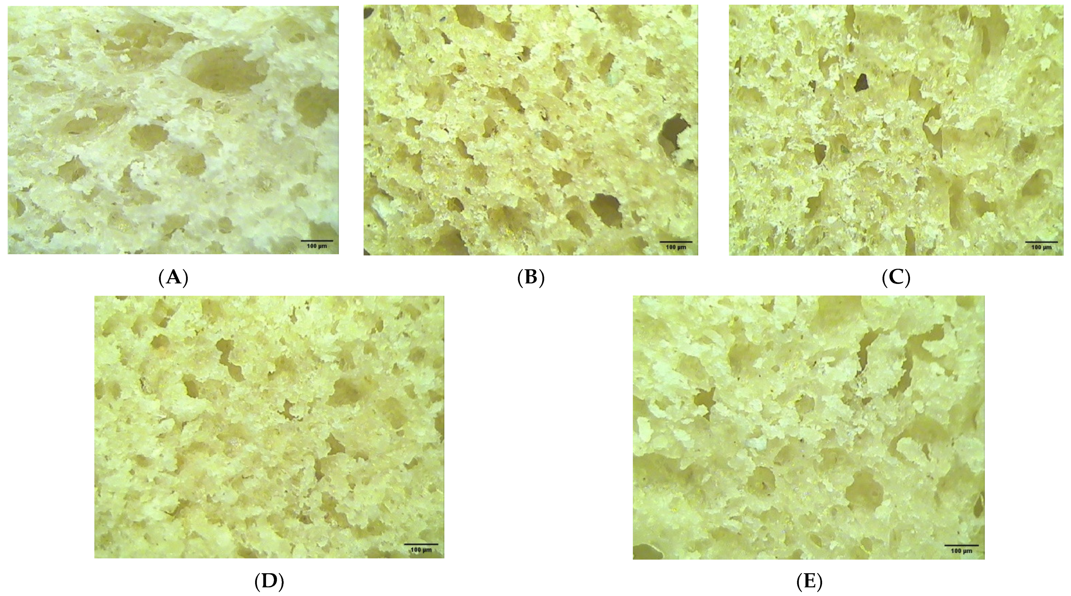 Foods 12 01316 g003 Foods 12 01316 g003