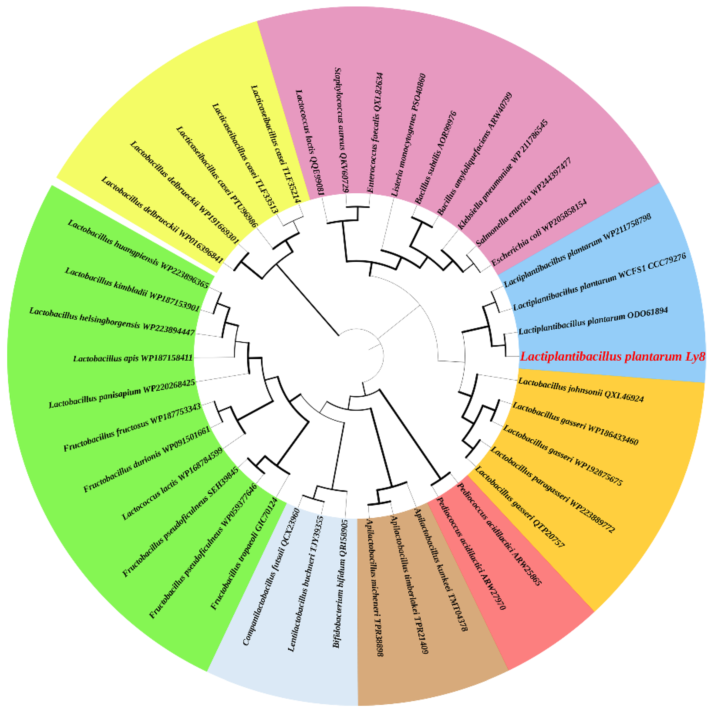 Foods 12 01317 g002 Foods 12 01317 g002