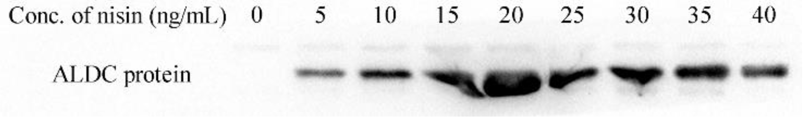 Foods 12 01317 g004 Foods 12 01317 g004