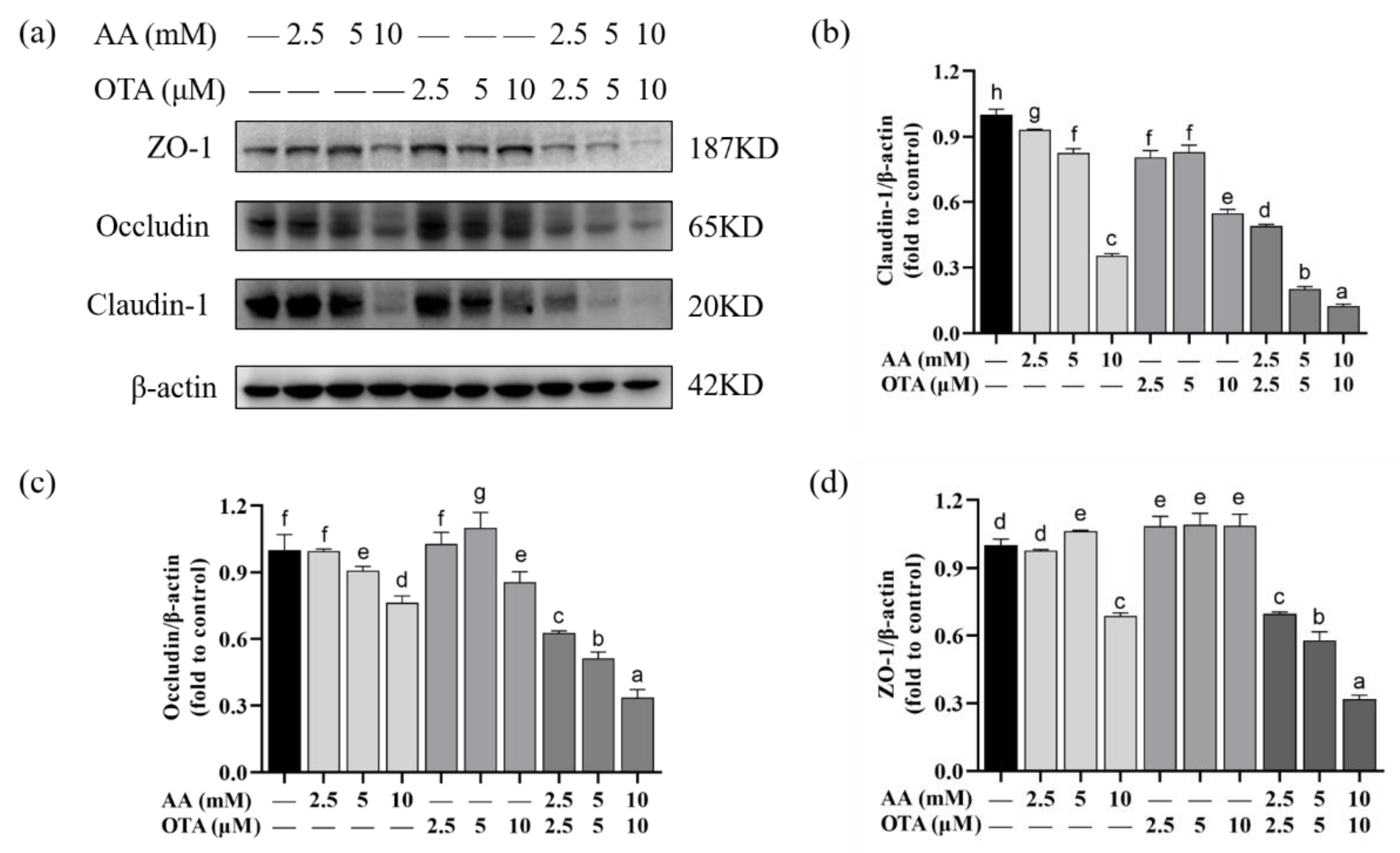 Foods 12 01318 g007 Foods 12 01318 g007