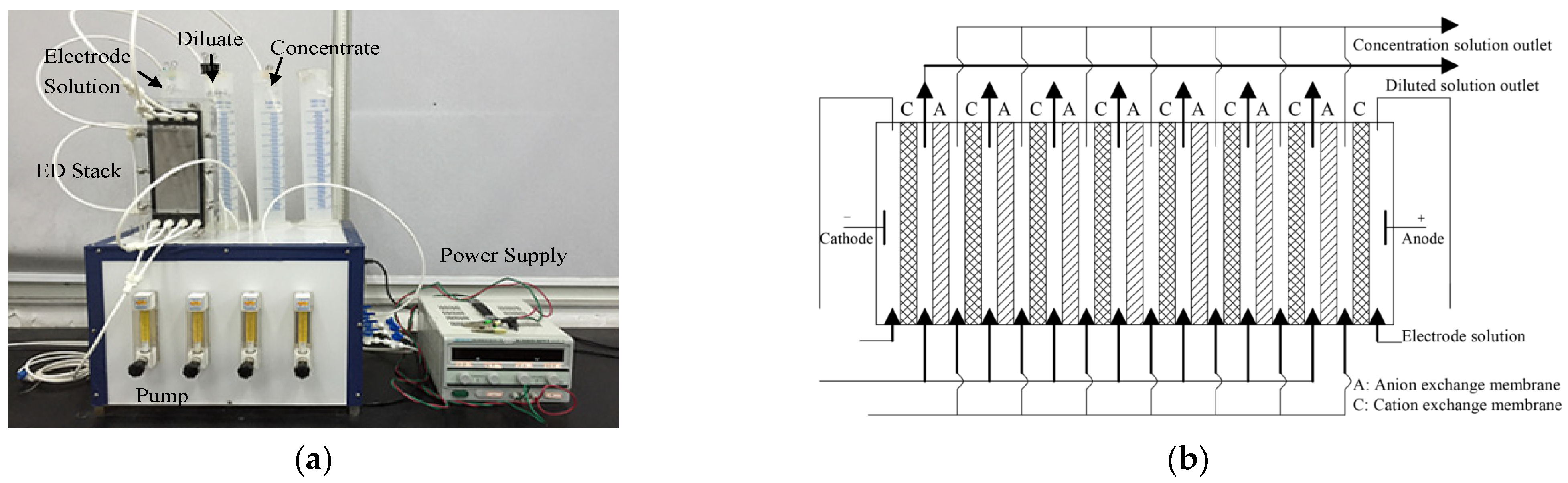 Foods 12 01325 g001 Foods 12 01325 g001
