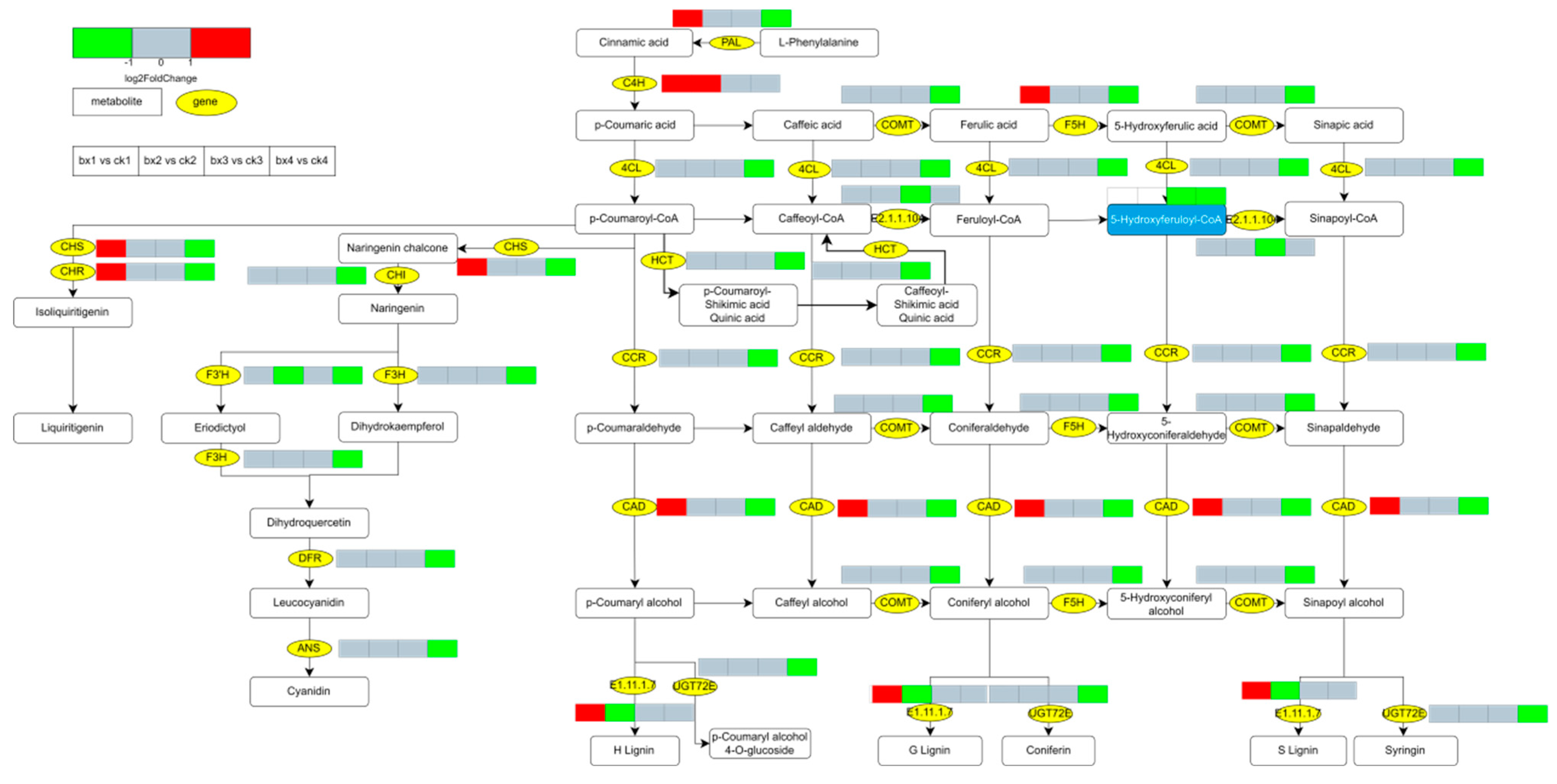 Foods 12 01335 g011 Foods 12 01335 g011