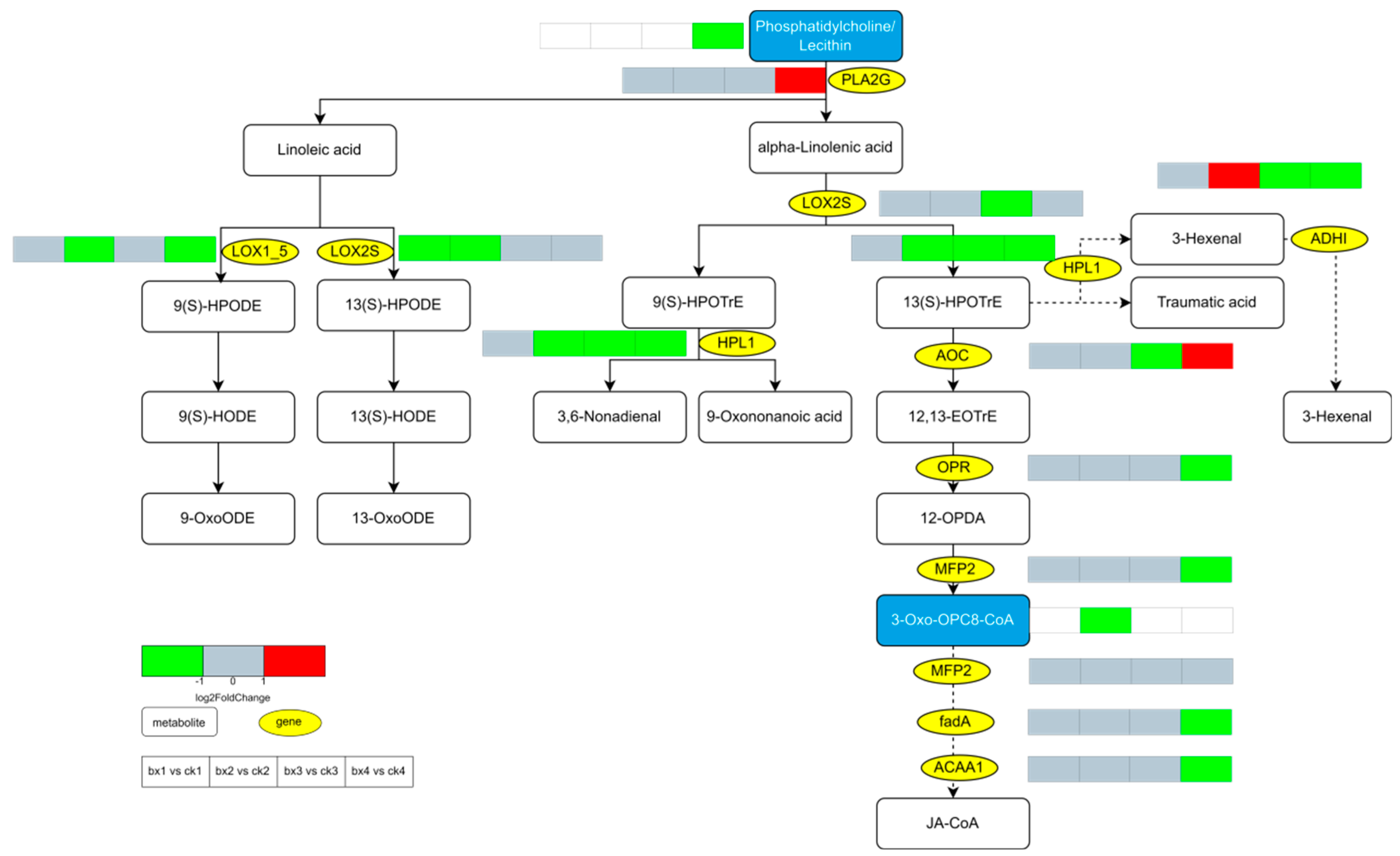 Foods 12 01335 g012 Foods 12 01335 g012