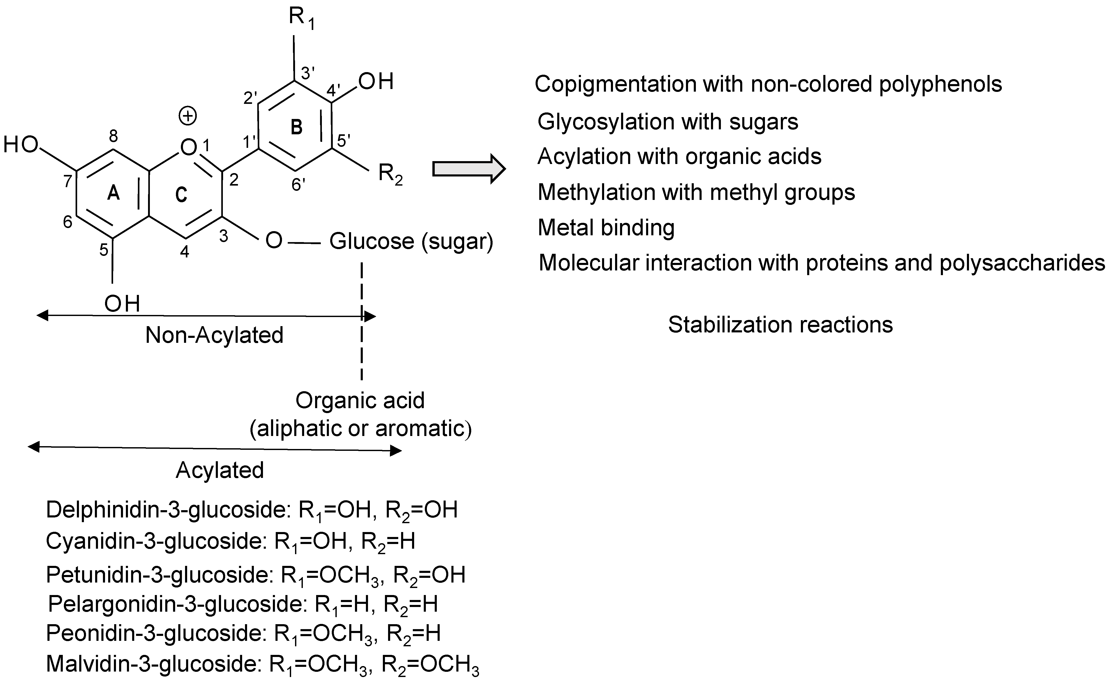 Foods 12 01358 g001 Foods 12 01358 g001