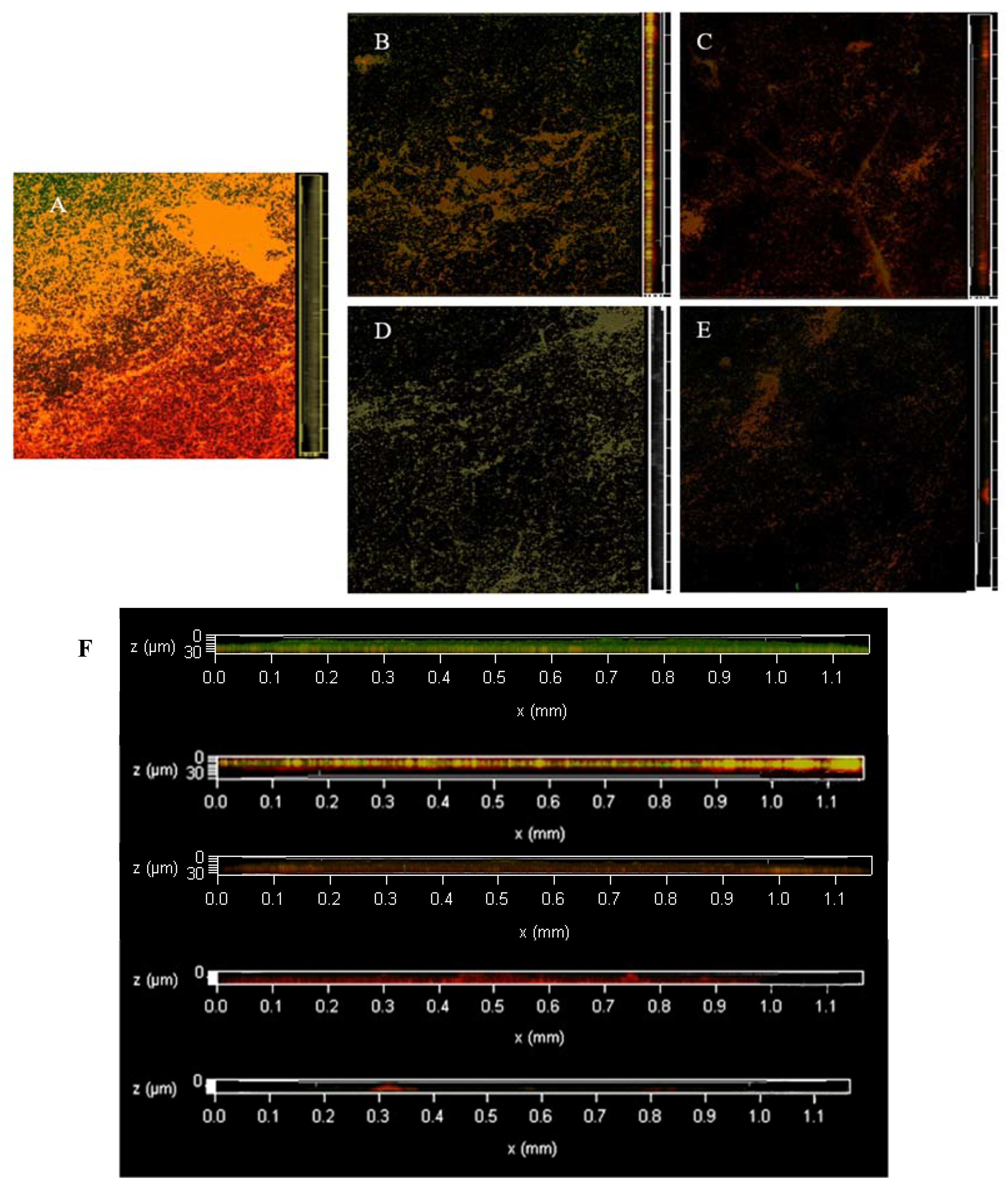 Foods 12 01361 g012 Foods 12 01361 g012