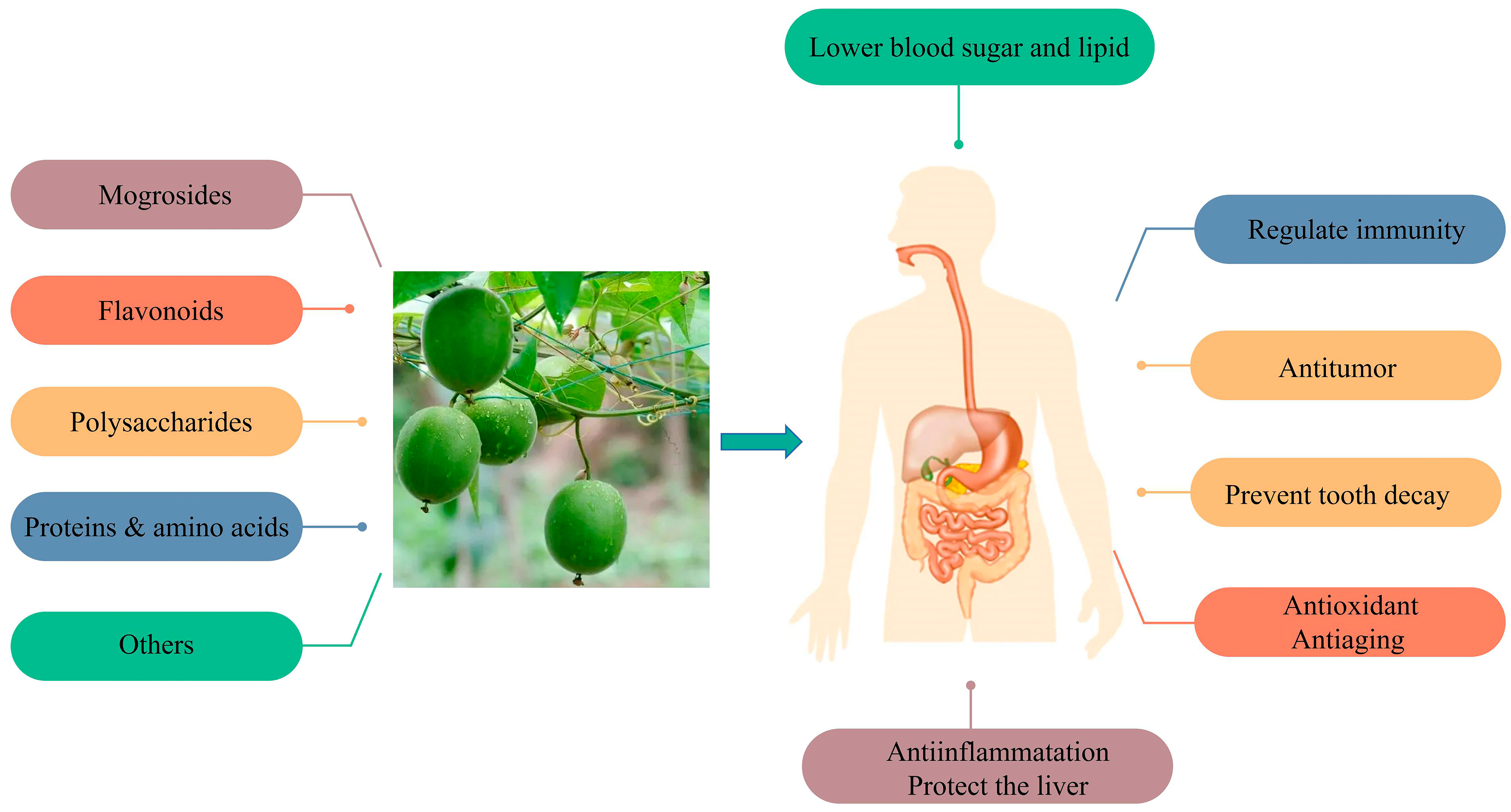 Foods 12 01373 g003 Foods 12 01373 g003