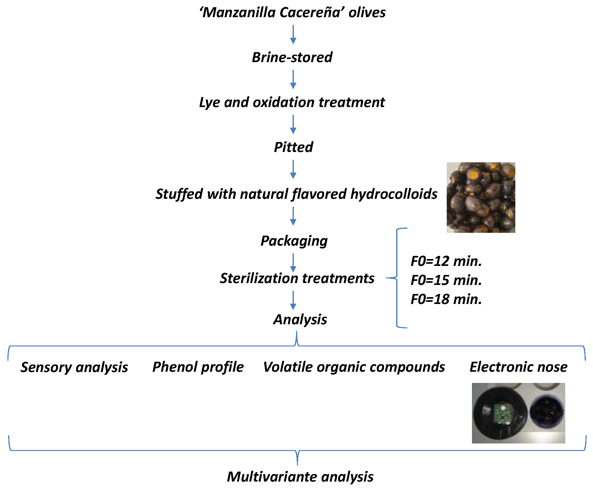 Foods 12 01377 g001 Foods 12 01377 g001