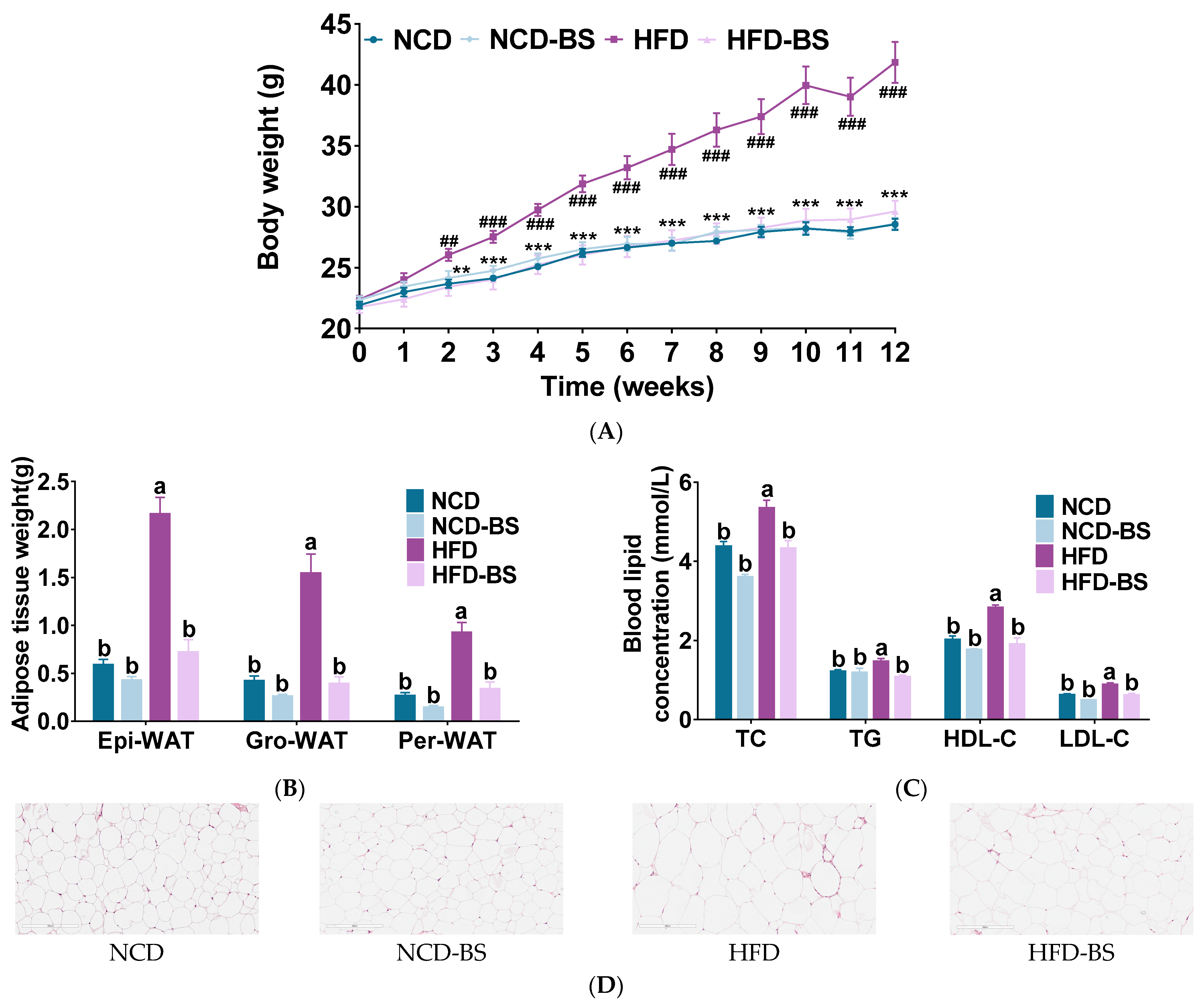 Foods 12 01380 g001 Foods 12 01380 g001