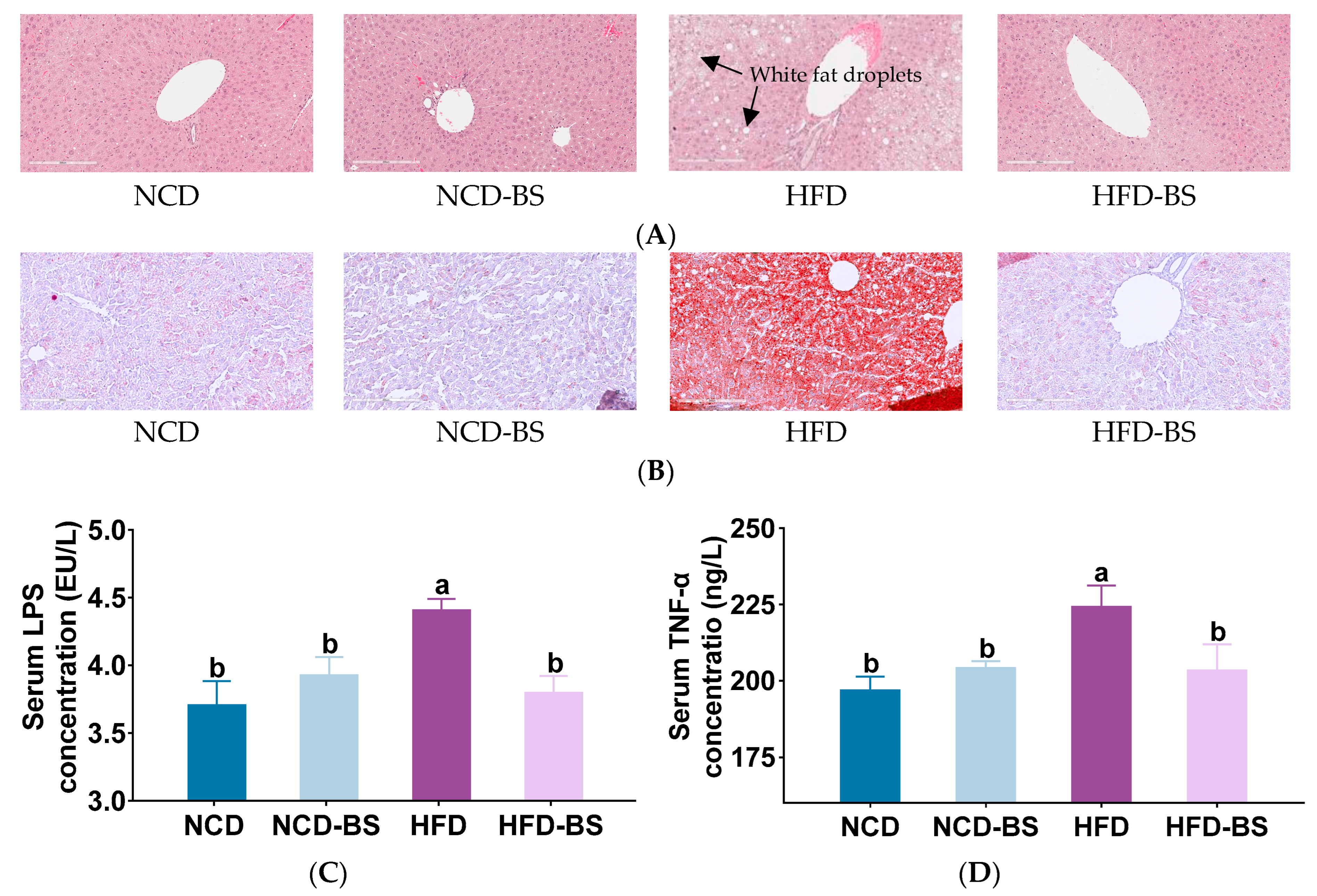Foods 12 01380 g002 Foods 12 01380 g002
