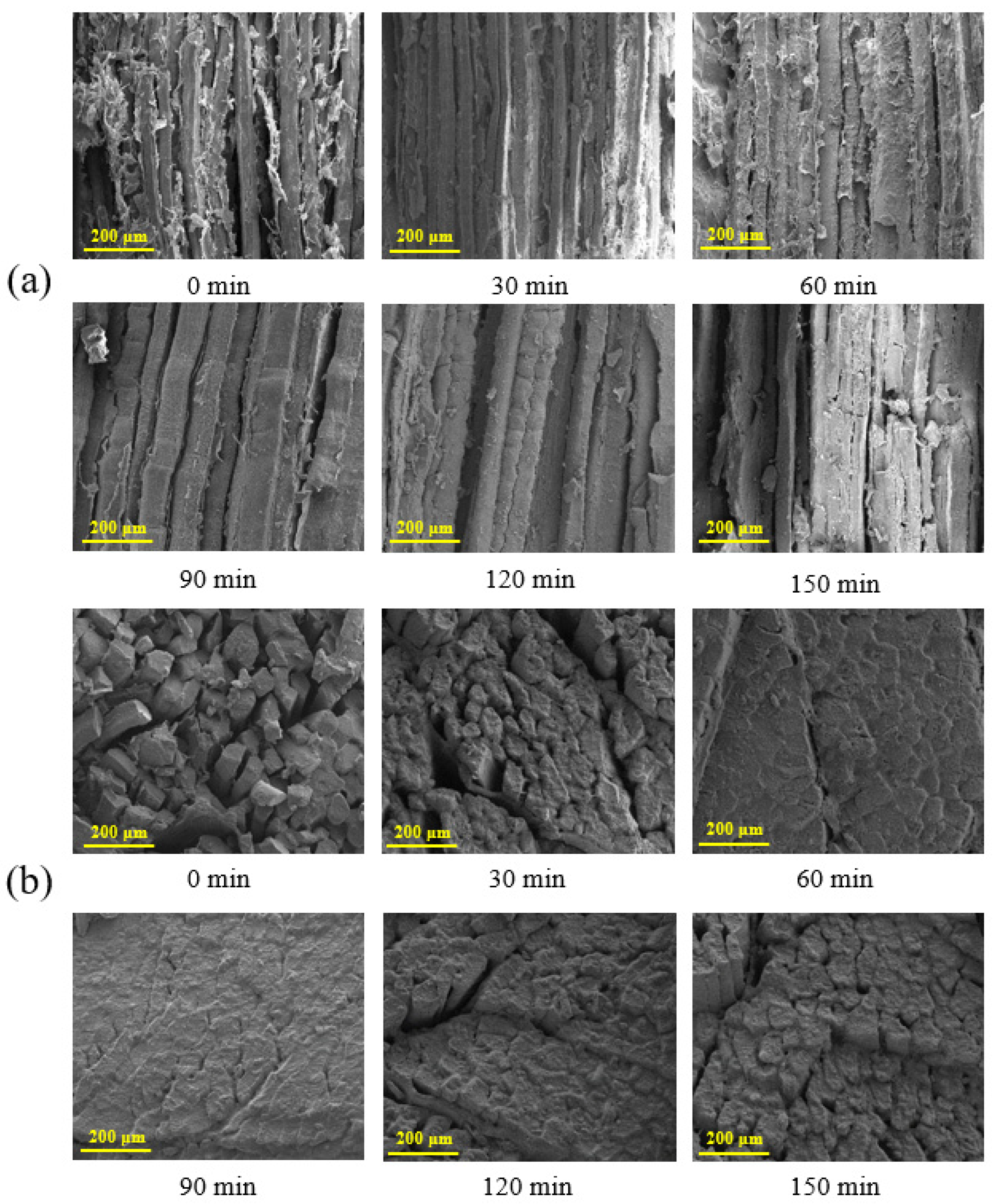 Foods 12 01386 g002 Foods 12 01386 g002